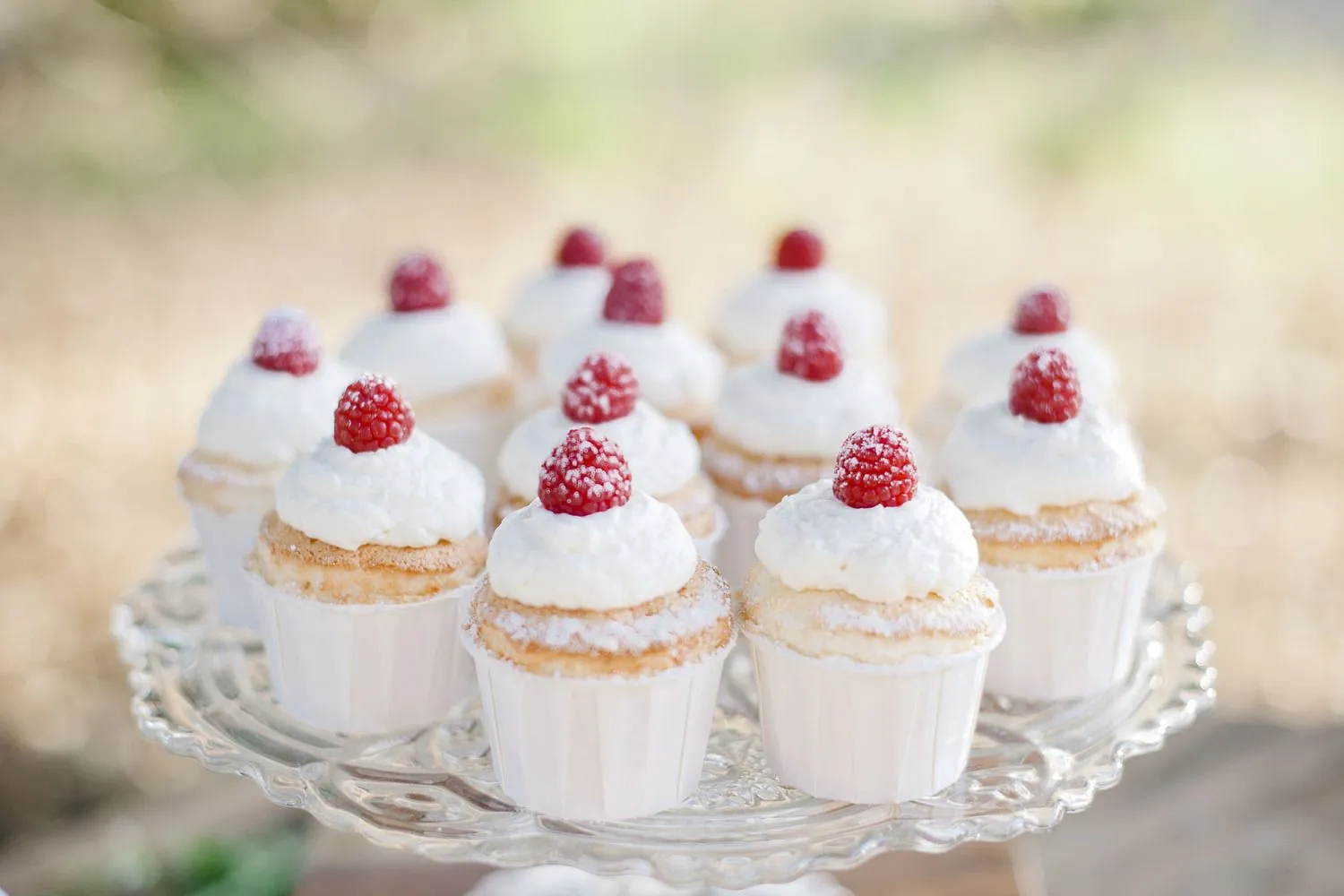 Angel Food Cupcakes with Stabilized Whipped Cream Frosting