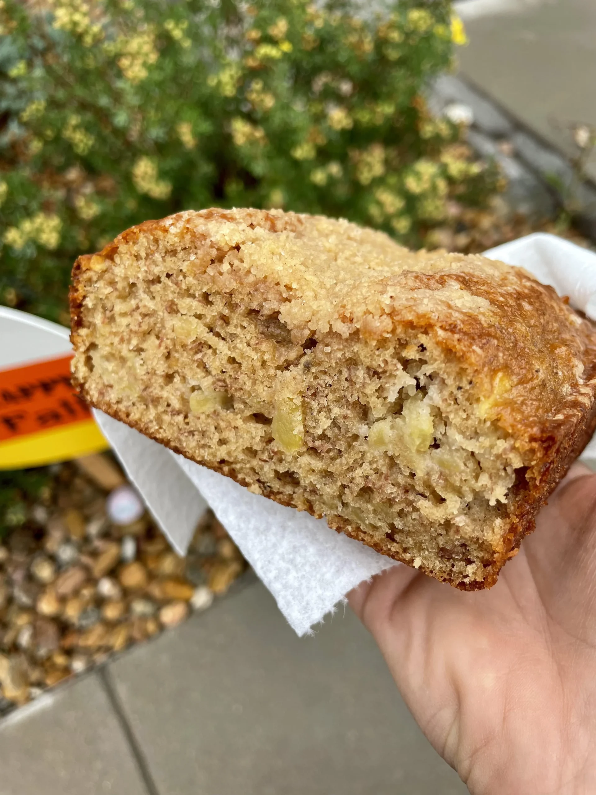 Apple Pie Banana Bread
