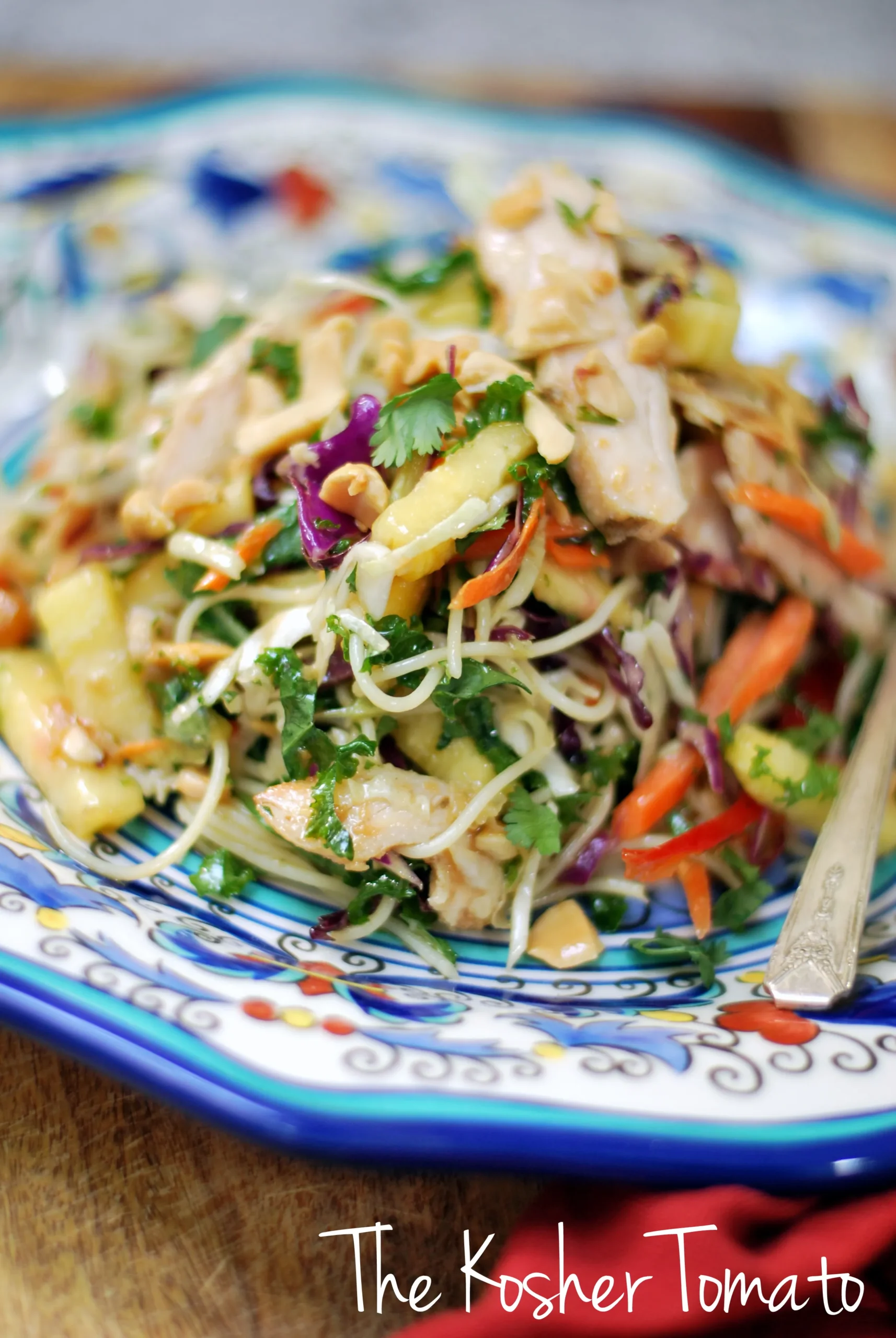 Asian Chicken Noodle and Vegetable Salad