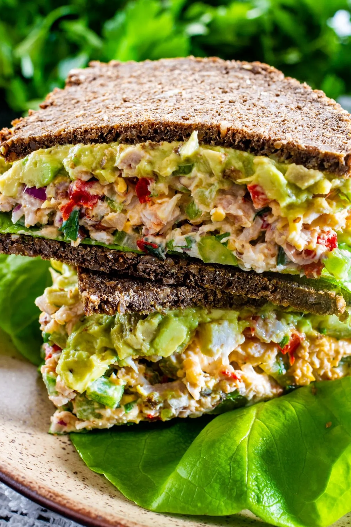 Avocado and Greek Yogurt Chicken Salad Sandwich