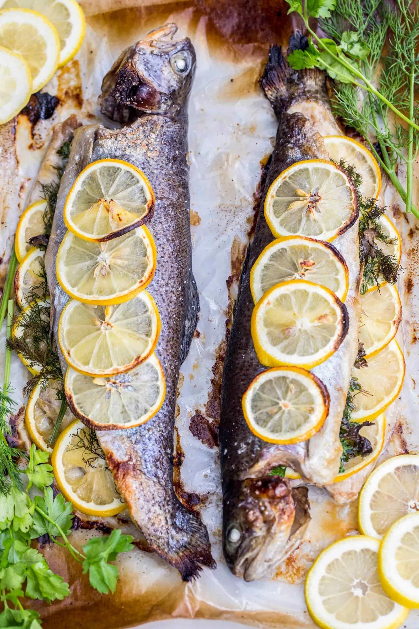 Baked Trout and Leeks with a Watercress English Butter Sauce