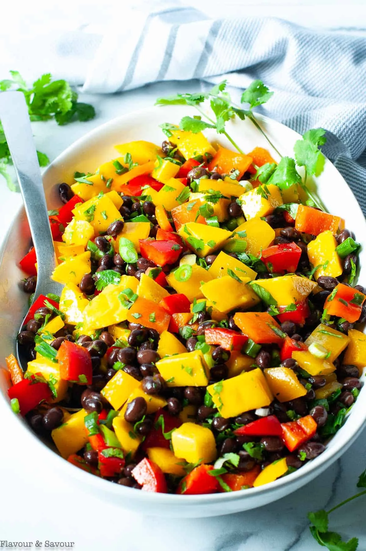 Black Bean Salad with Citrus Dressing