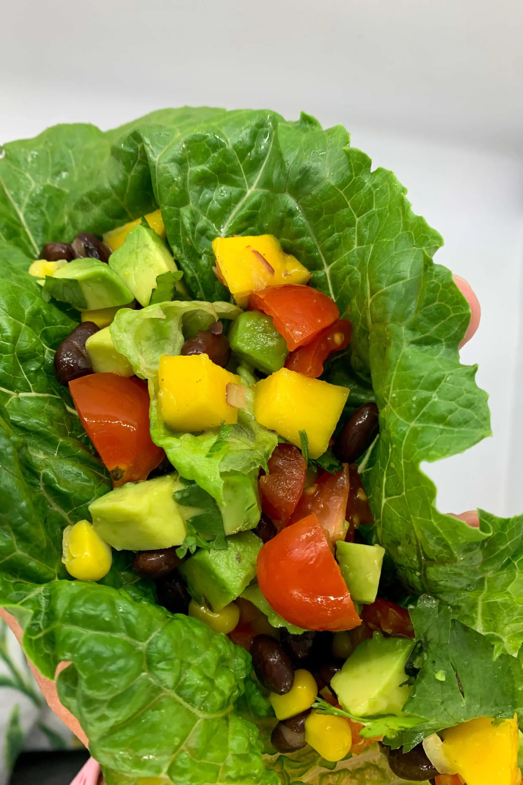 Black Bean and Mango Wrap