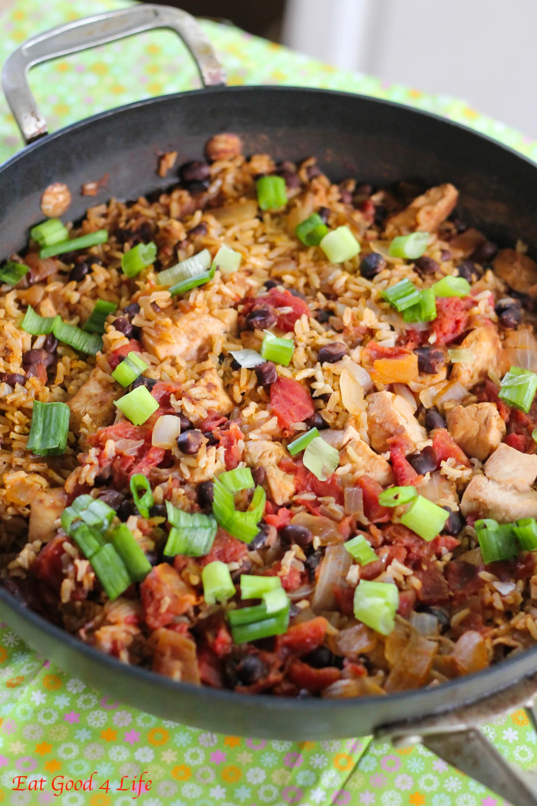 Black Beans and Rice with Chicken and Apple Salsa