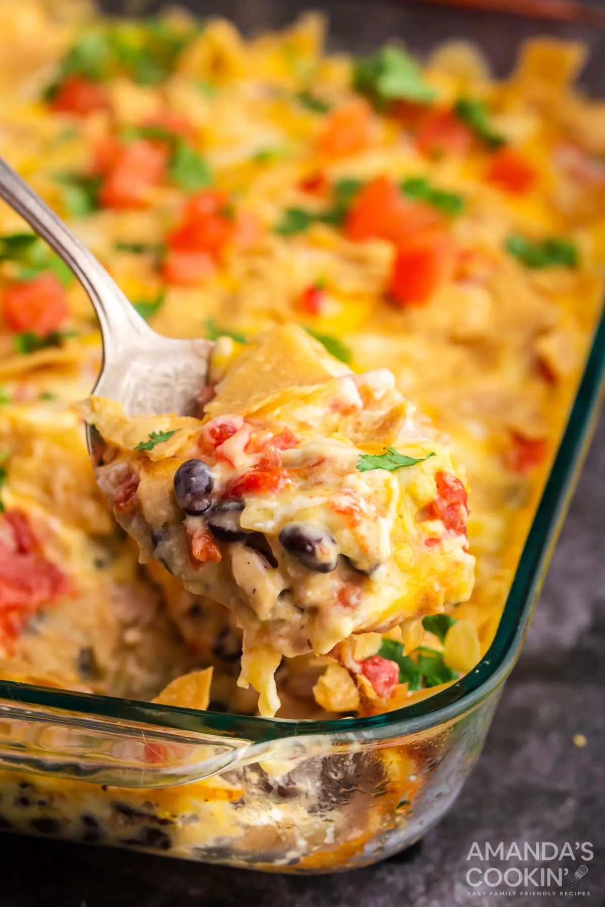Cheesy Mexican Chicken Casserole Fight Hunger