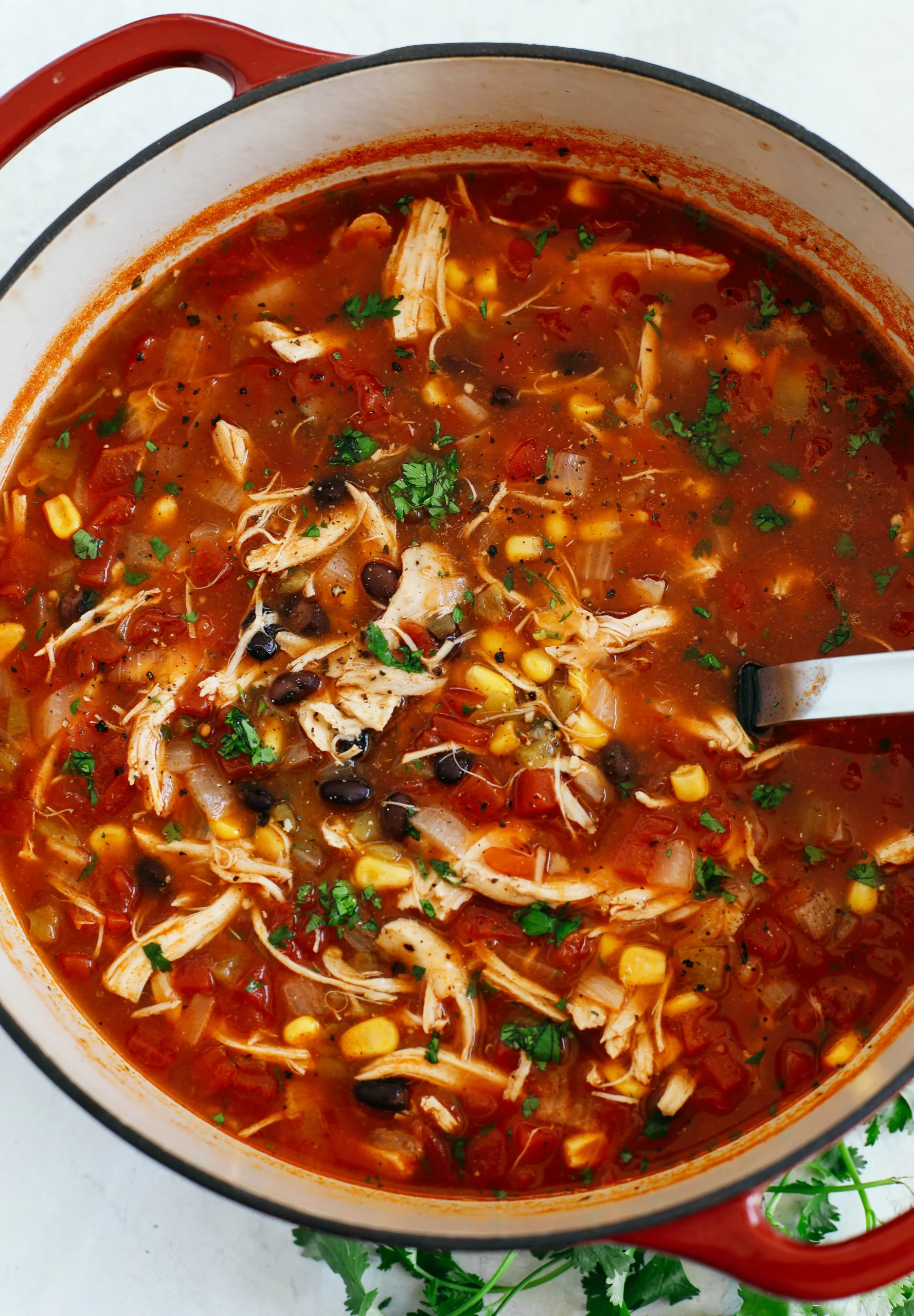 Chicken Tortilla Top Soup