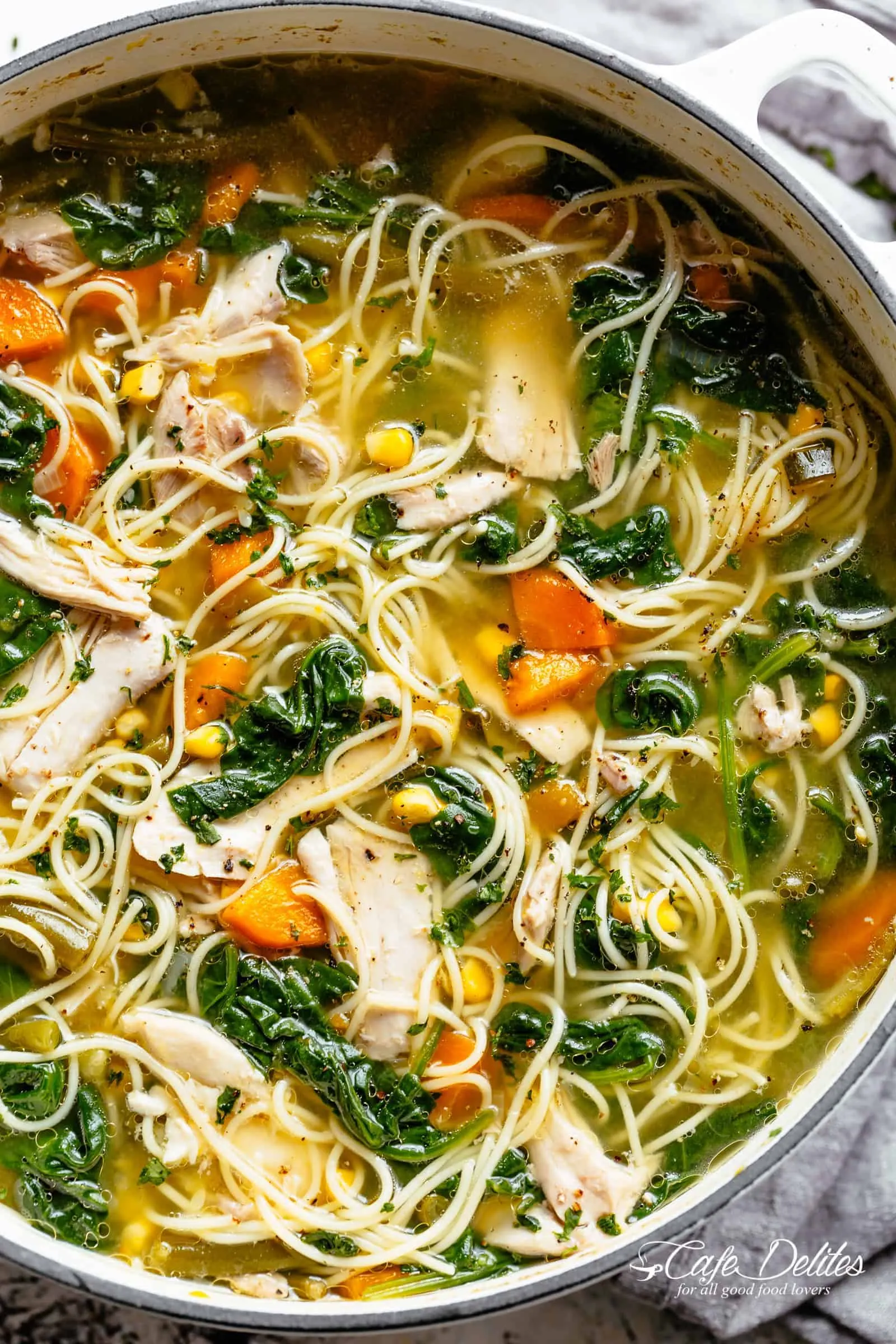 Chicken and Vegetable Noodle Soup