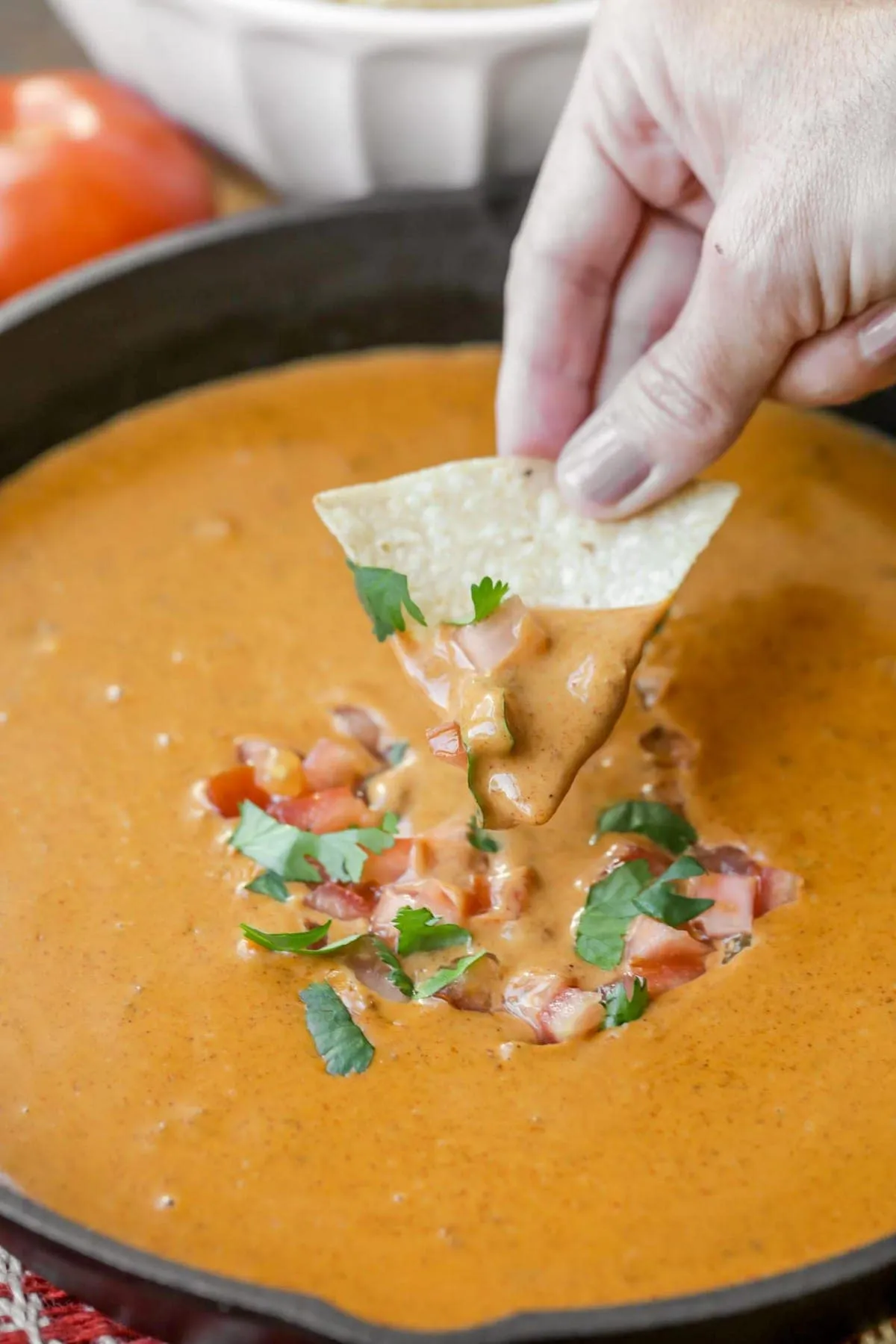 Chili's Skillet Queso Slow Cooker