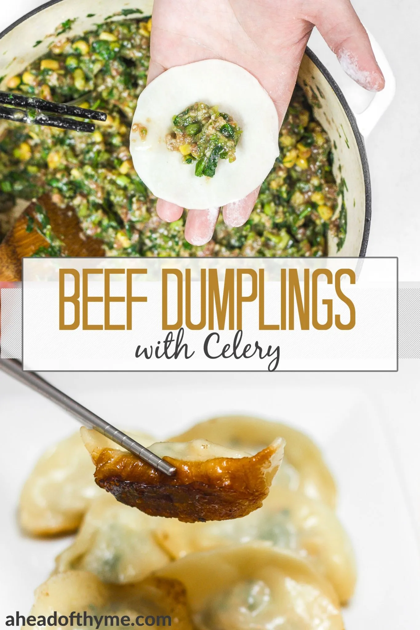 Chinese Beef Dumplings with Celery