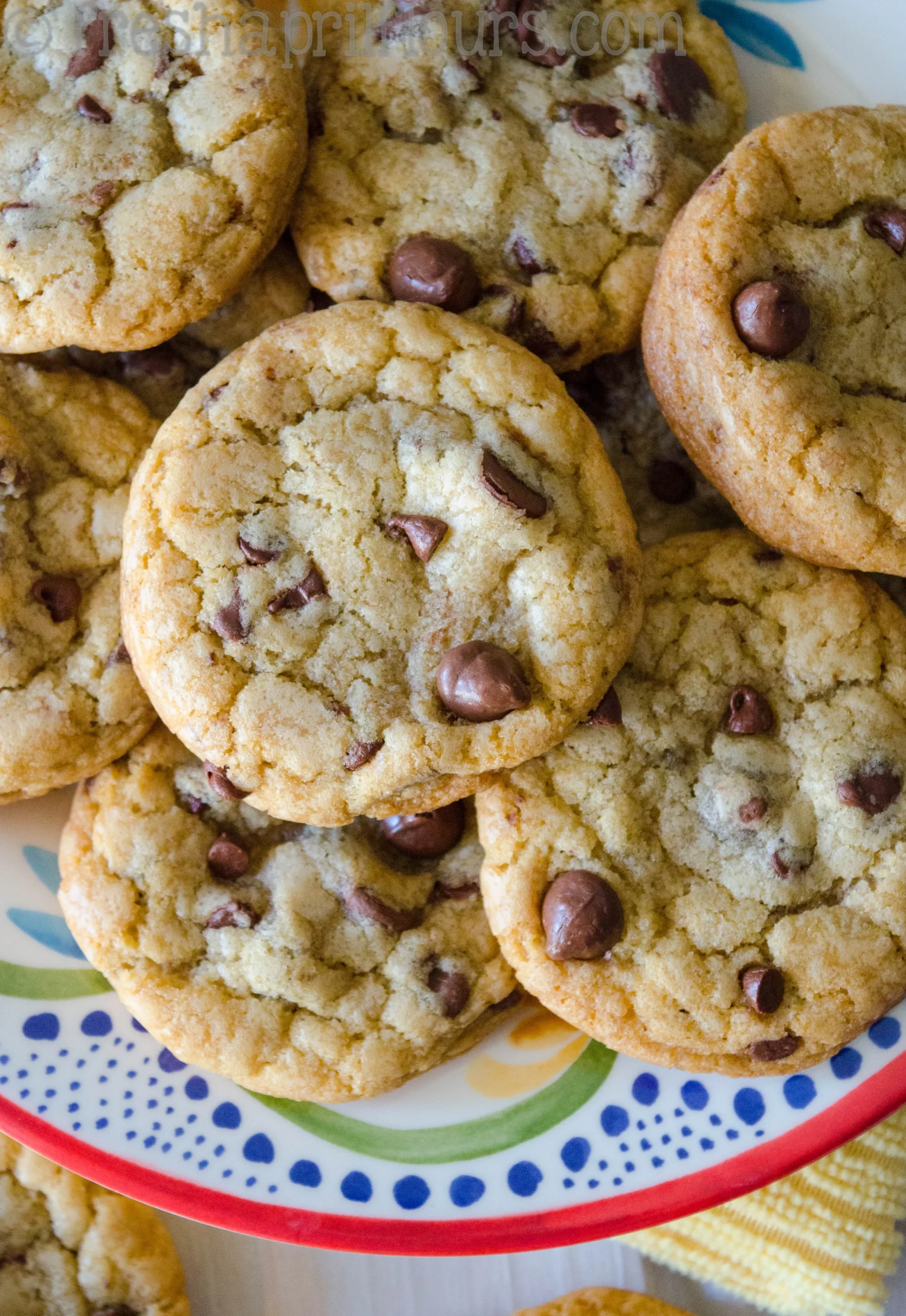 Chocolate Chocolate Chip Cookies