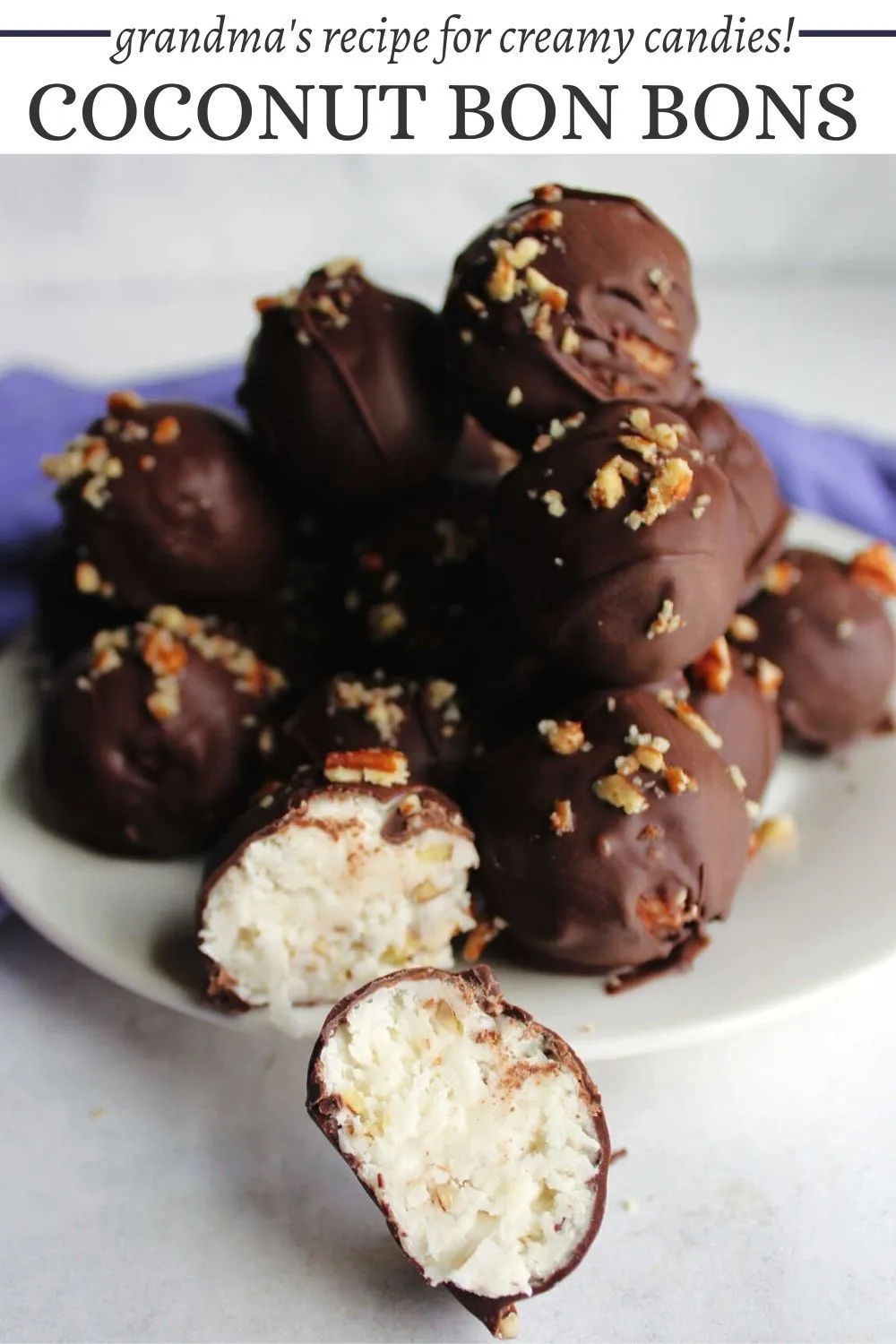 Chocolate Coconut Bon Bons