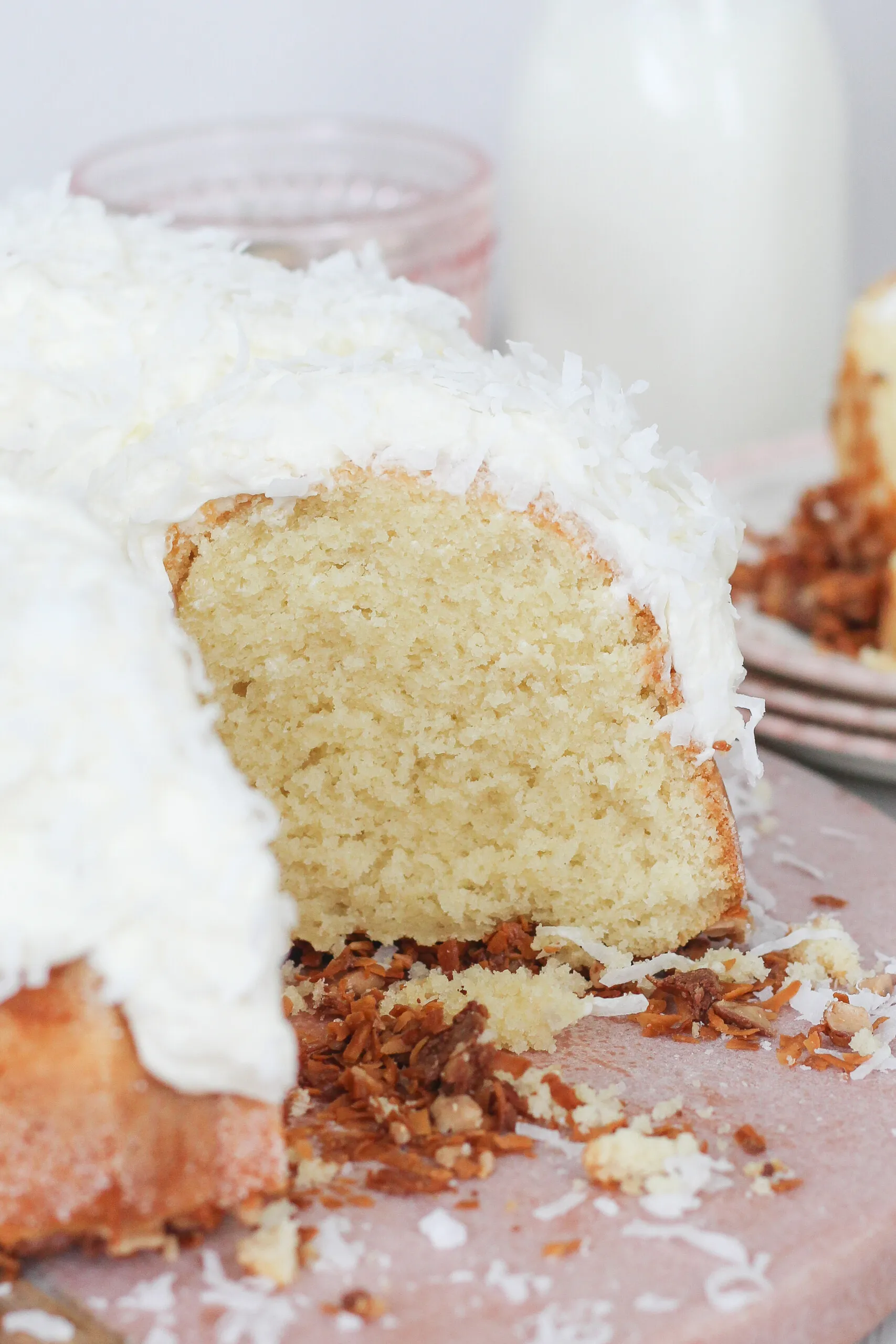 Chocolate Coconut Christmas Cake