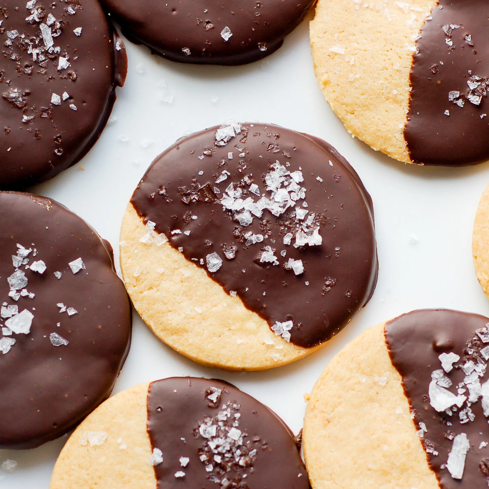 Chocolate Covered Shortbread Cookies