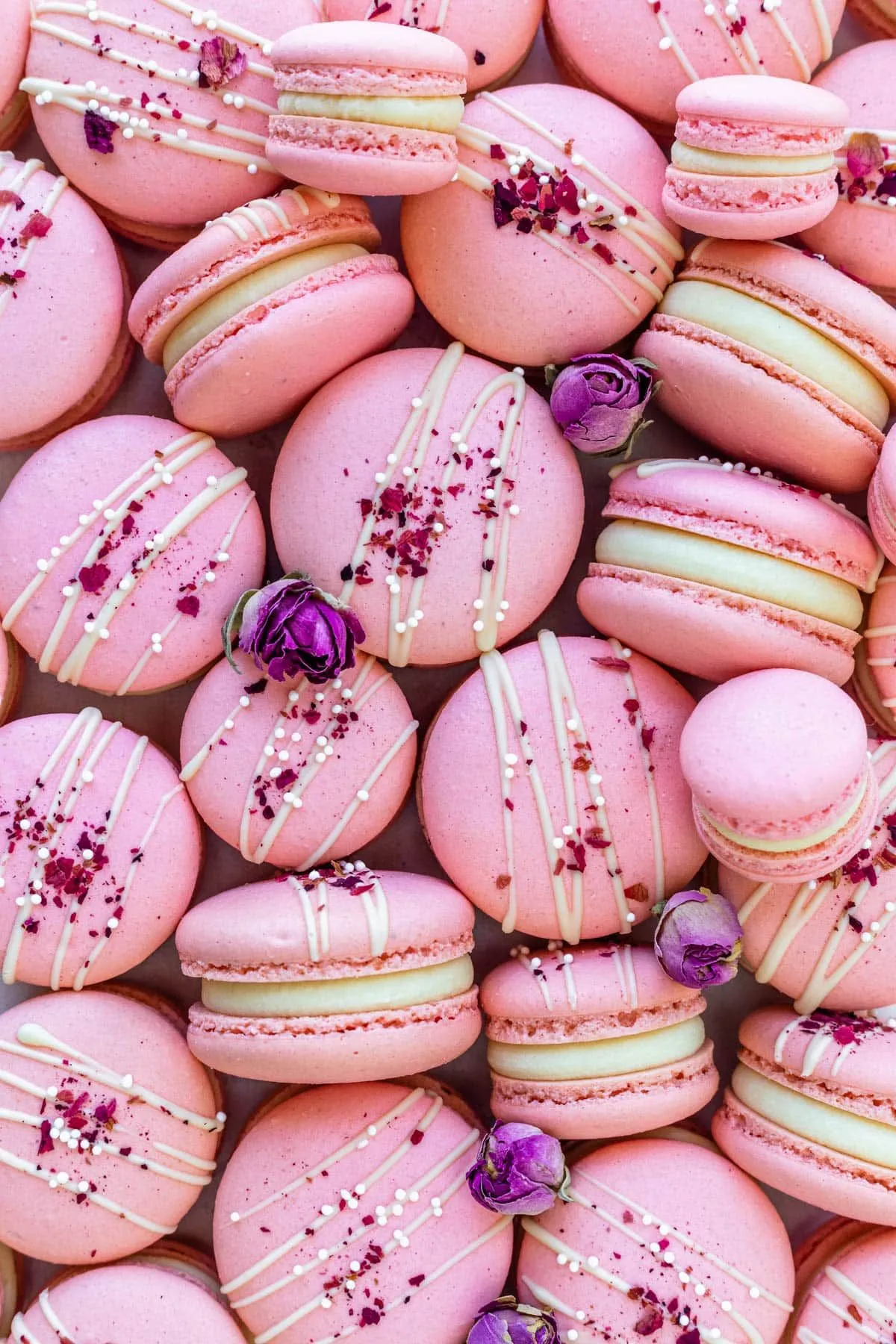 Chocolate Macarons with Rose Filling
