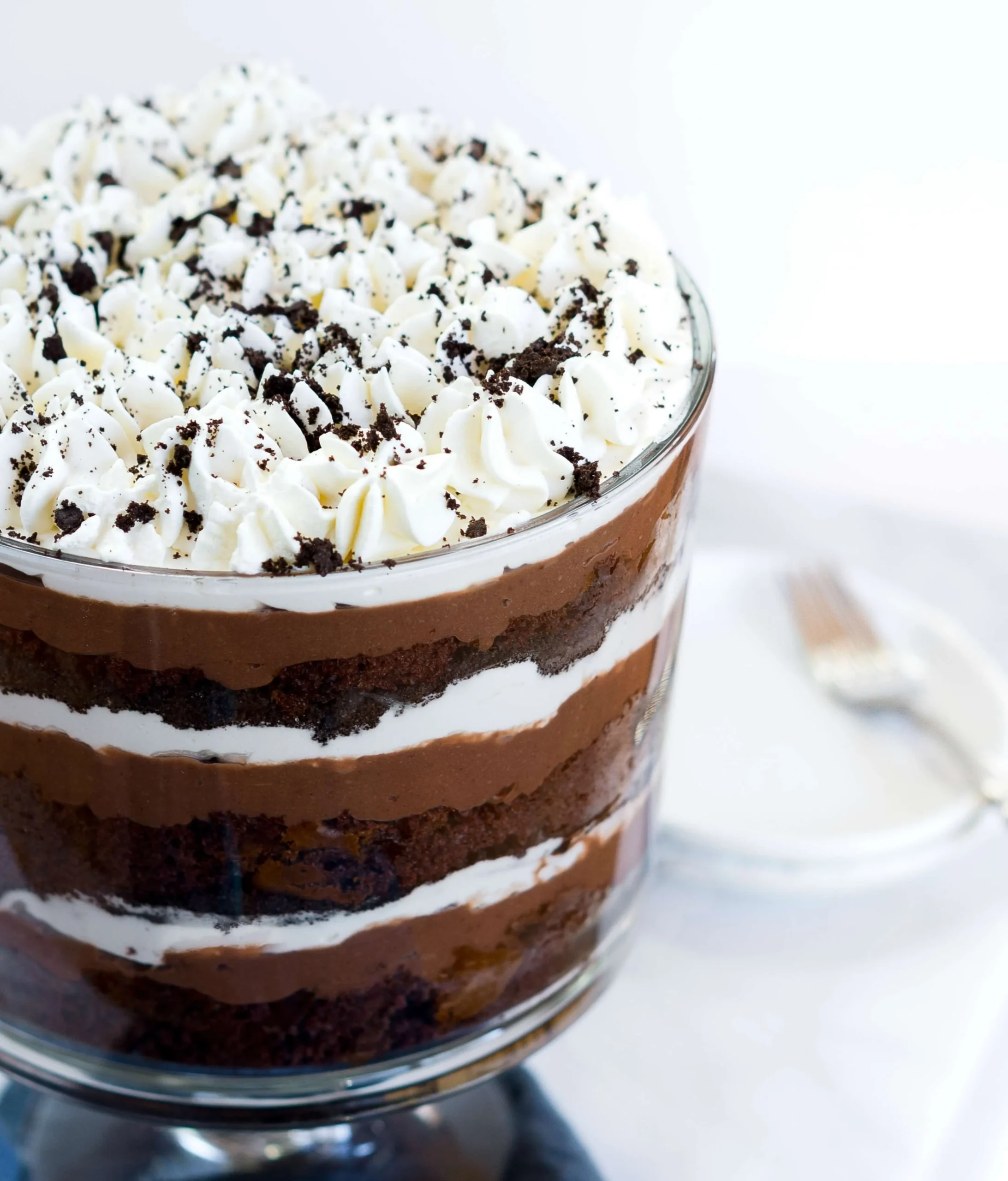 Chocolate Pudding Cake Dessert