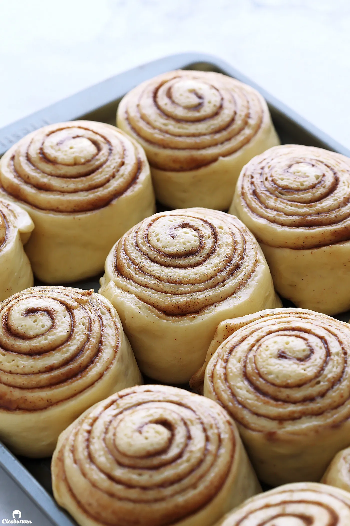 Cinnamon Rolls with Self Rising Flour