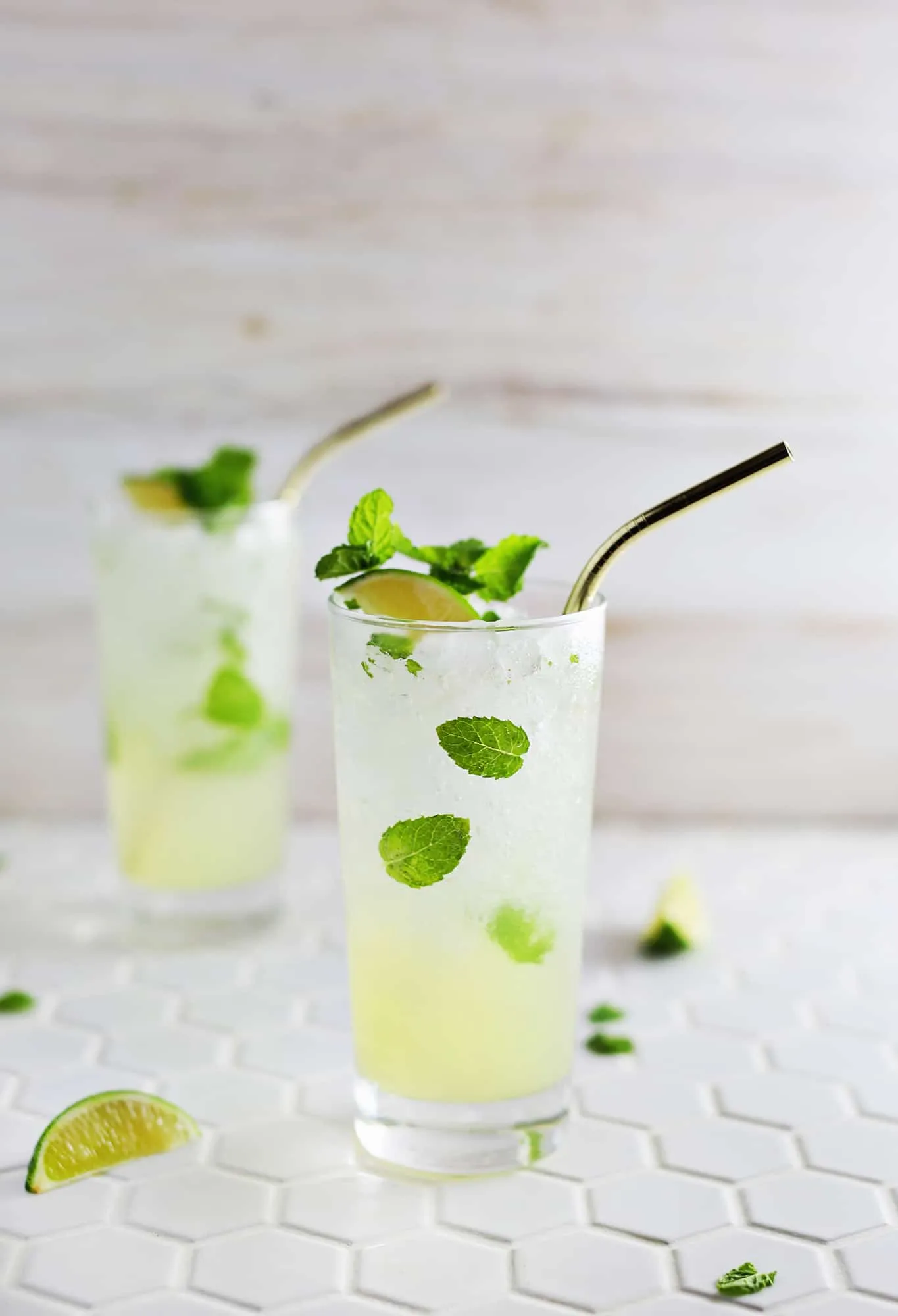 Citrus Mint Mojito Cocktail
