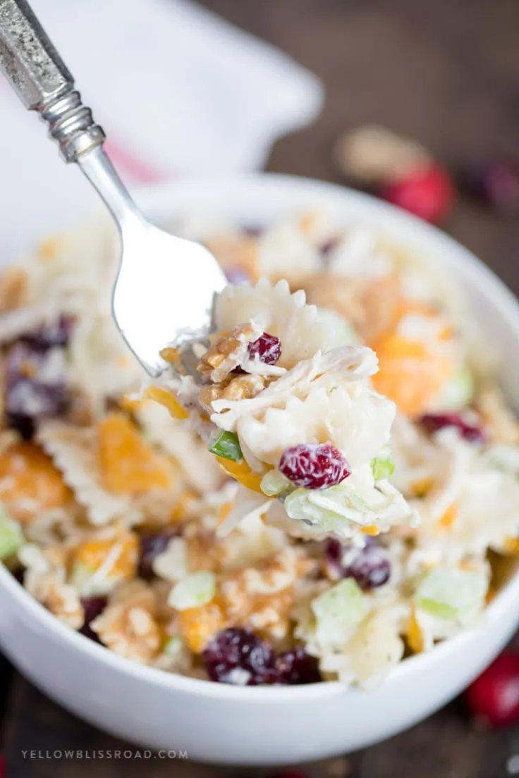 Colorful Turkey Pasta Salad