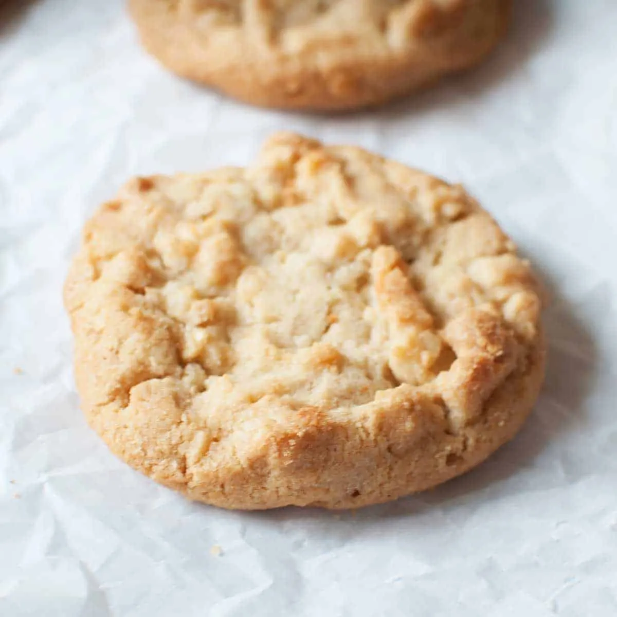Copycat Subway White Chocolate Macadamia Cookies