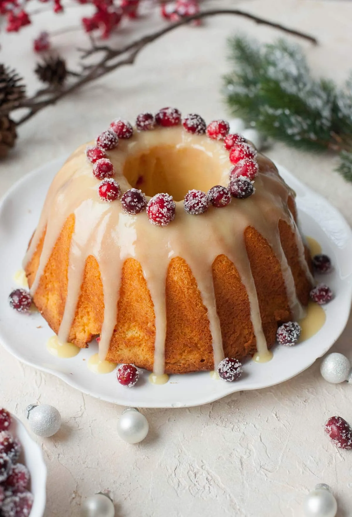 Cranberry Chocolate Orange Cake