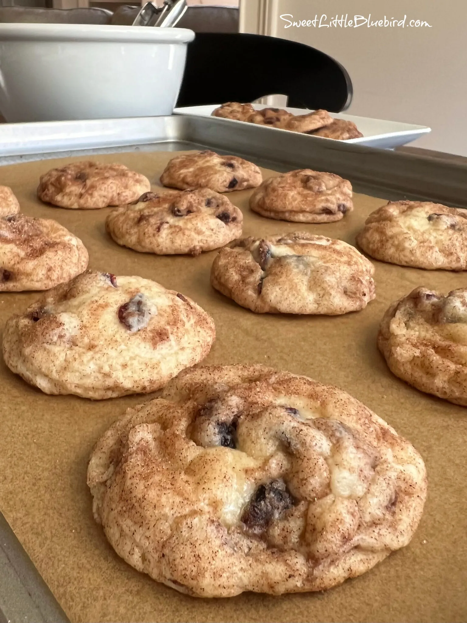 Cranberry Cream Cheese Snickerdoodles