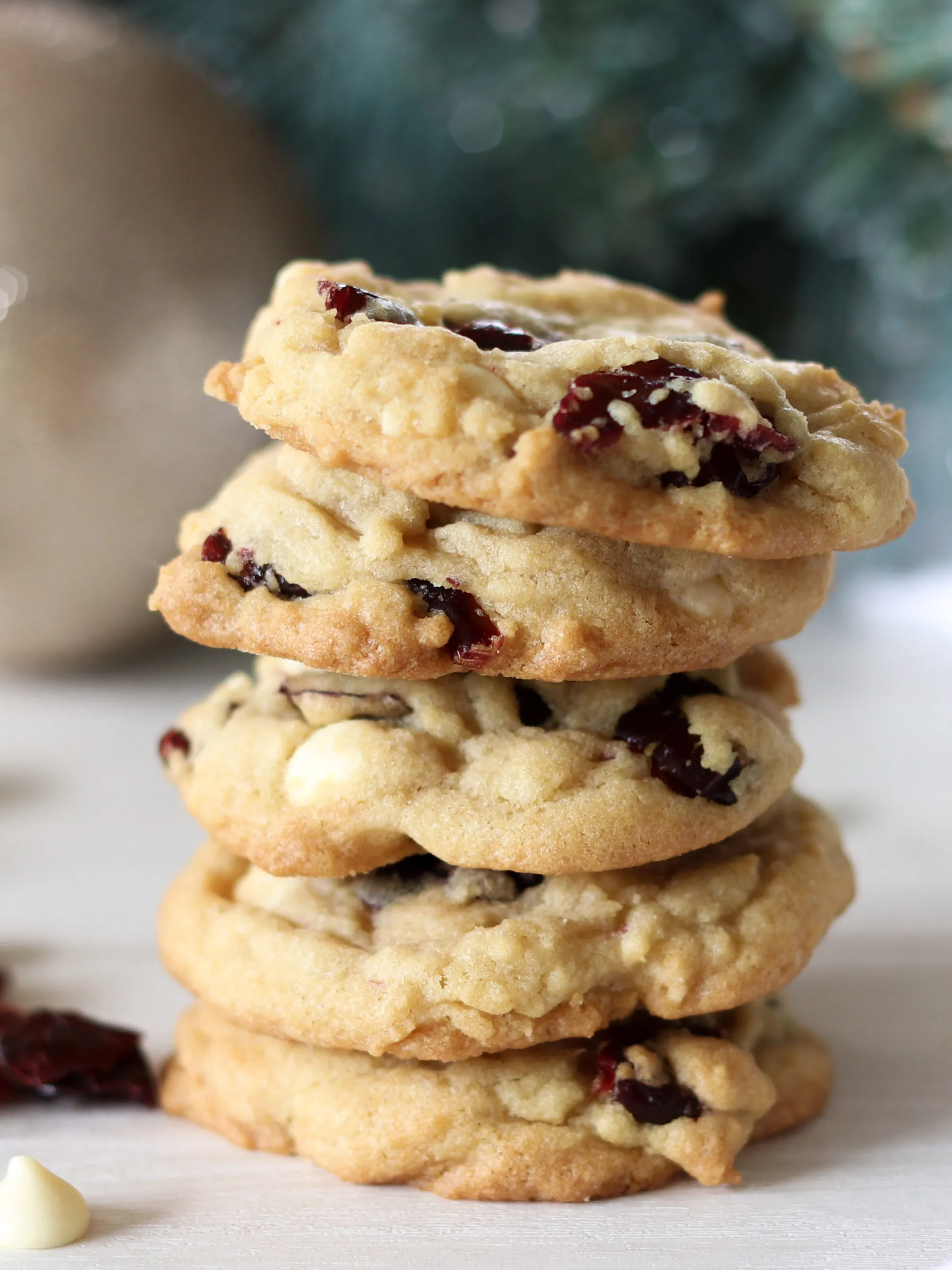 Cranberry White Chocolate Cookie Mix