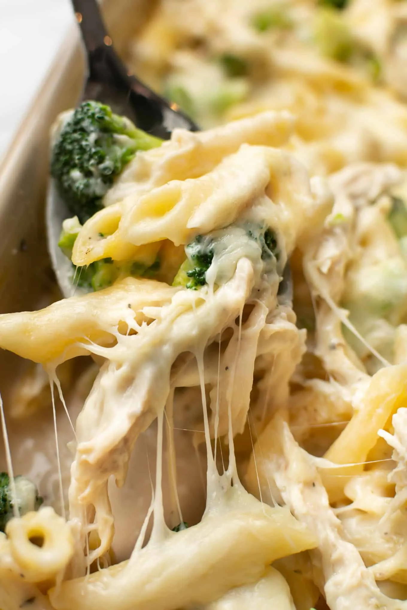Creamy Chicken and Broccoli Pumpkin Alfredo