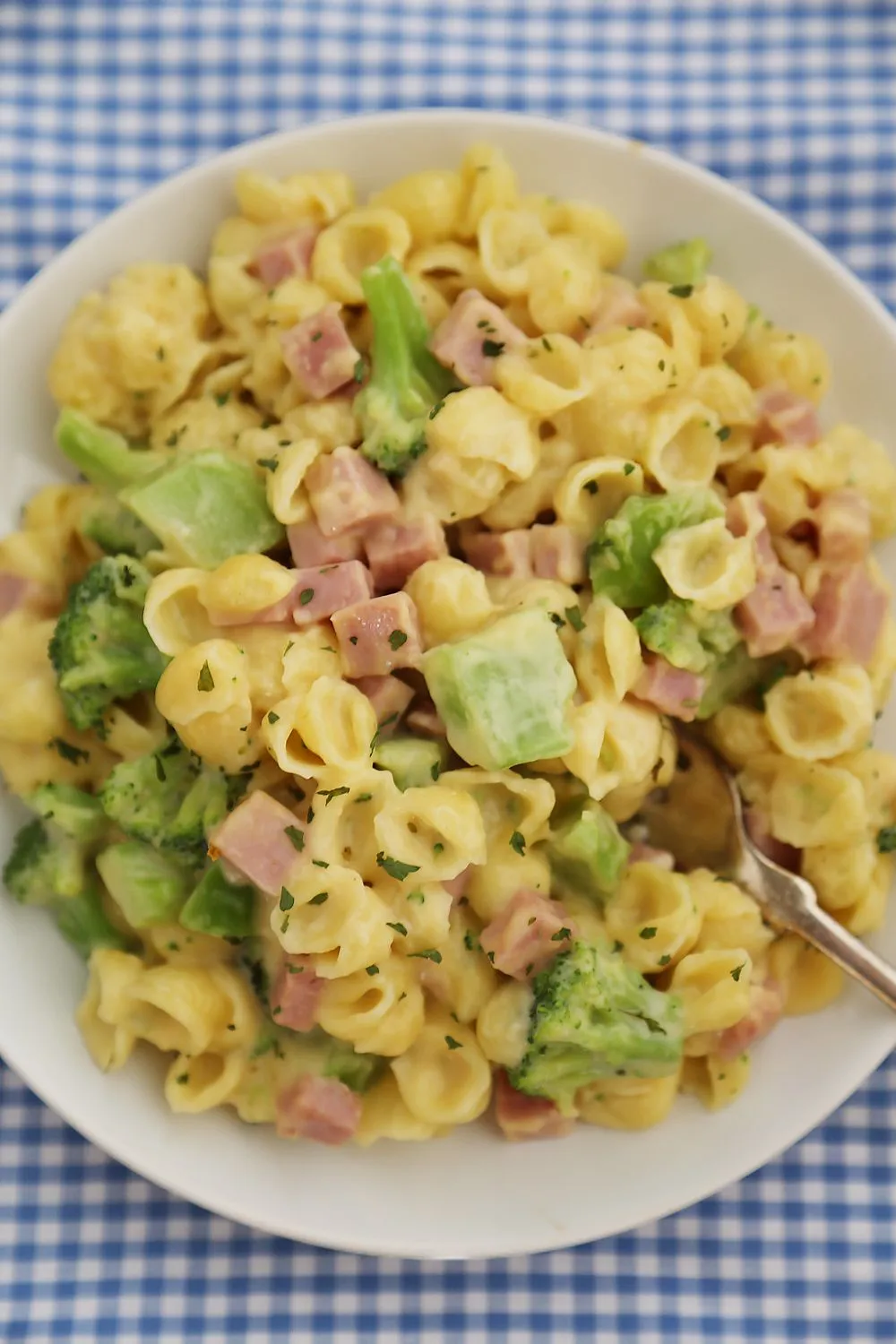Creamy Shells with Broccoli and Ham