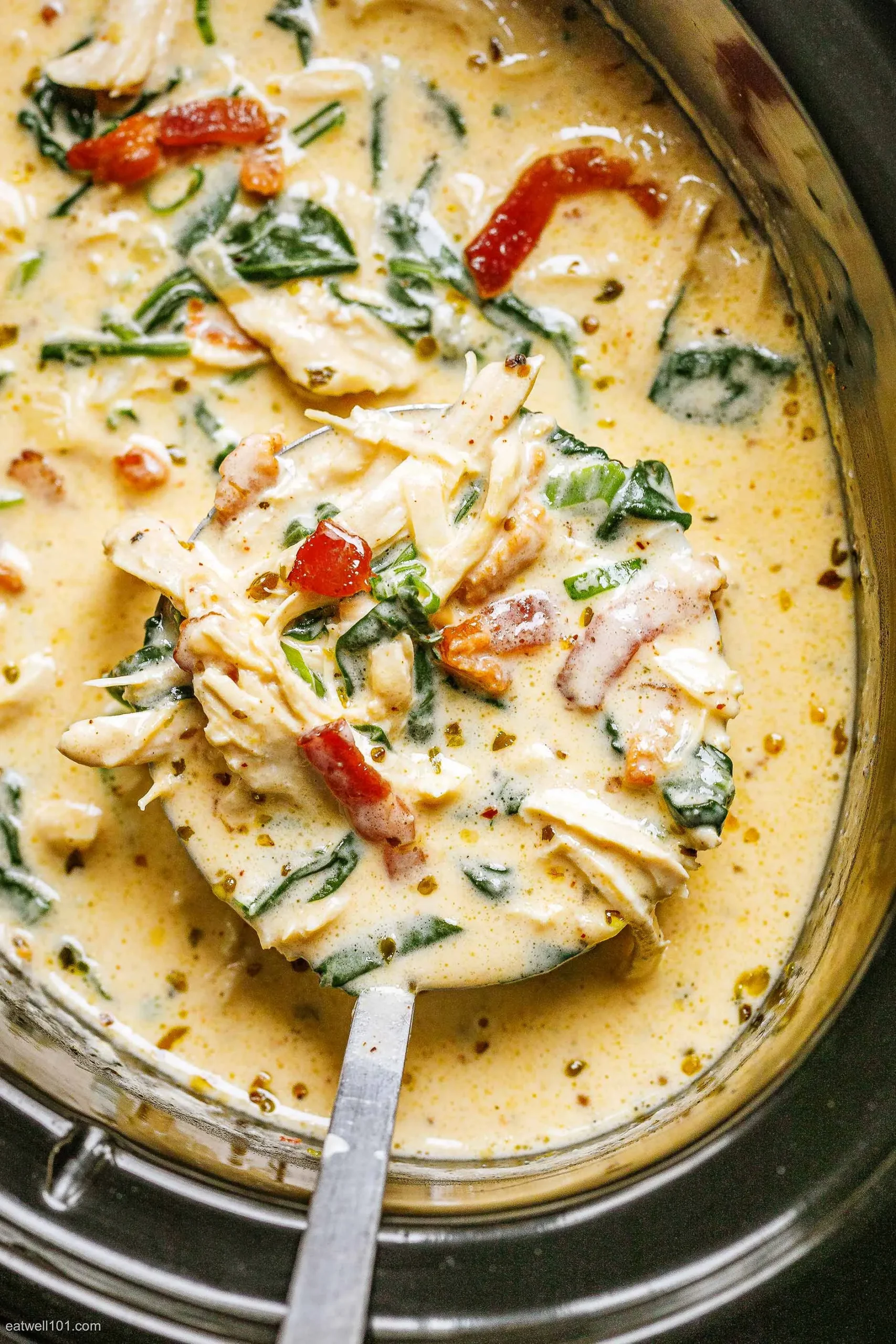 Creamy Slow Cooked Chicken