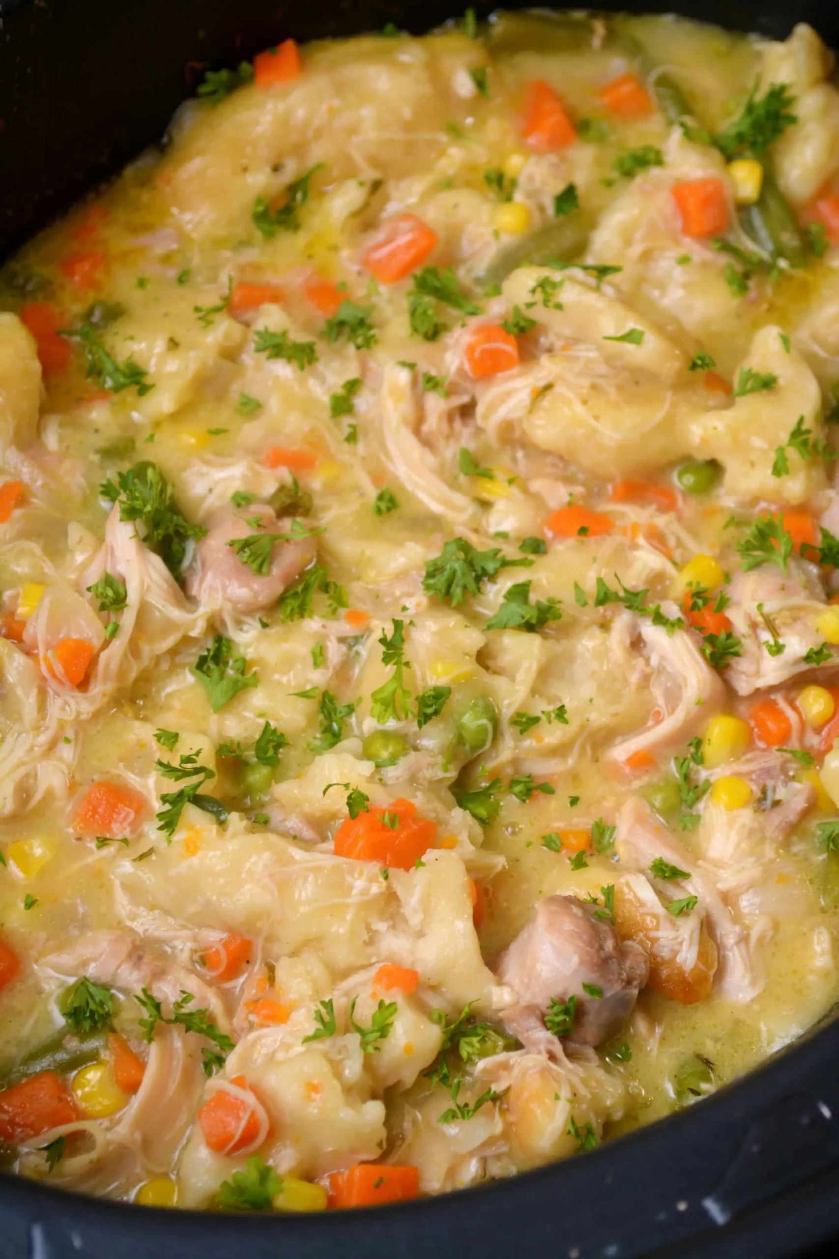Crock Pot Chicken Dumplin Veggie Soup