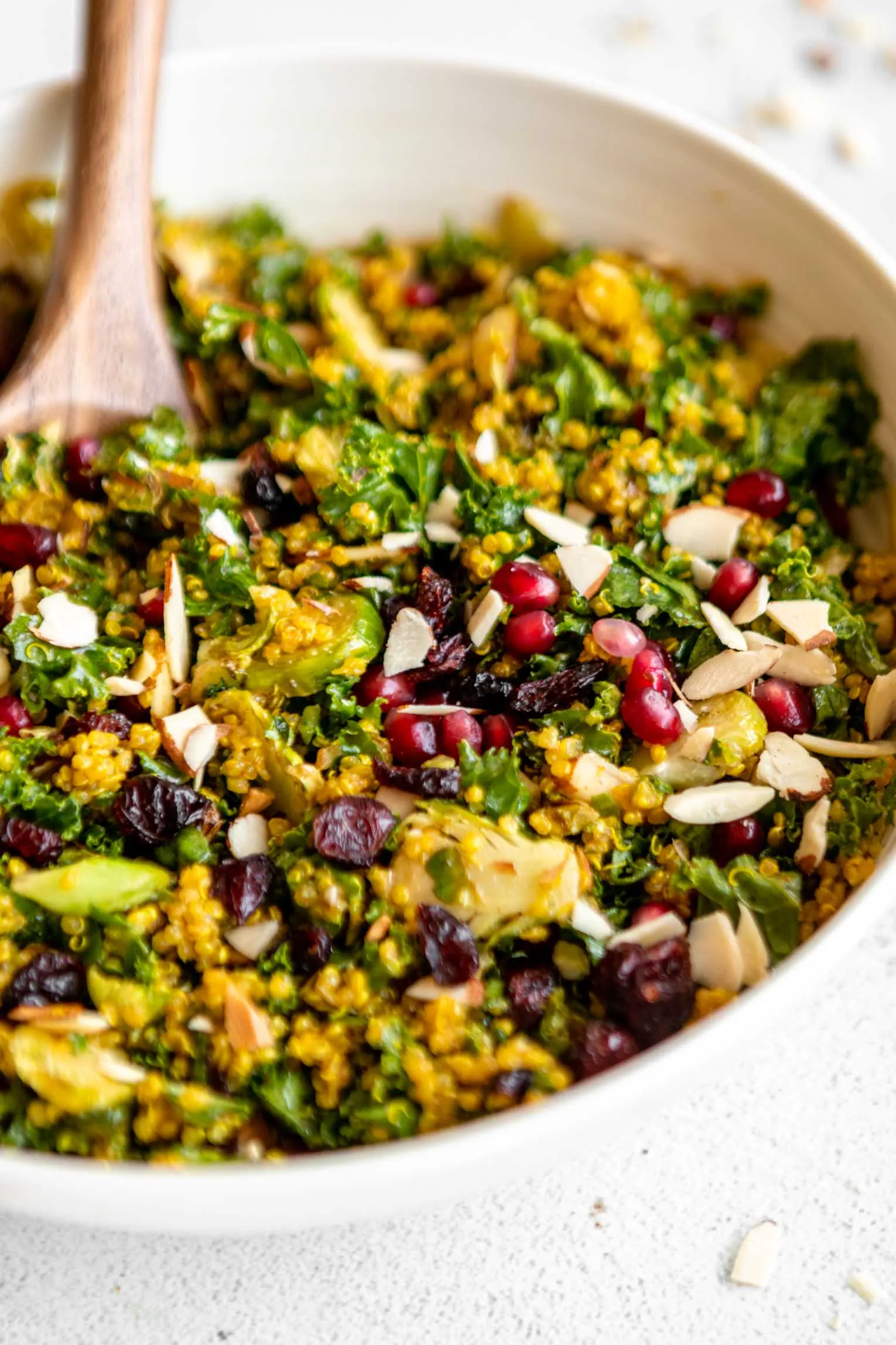 Curry Quinoa Sprouted Bean Salad