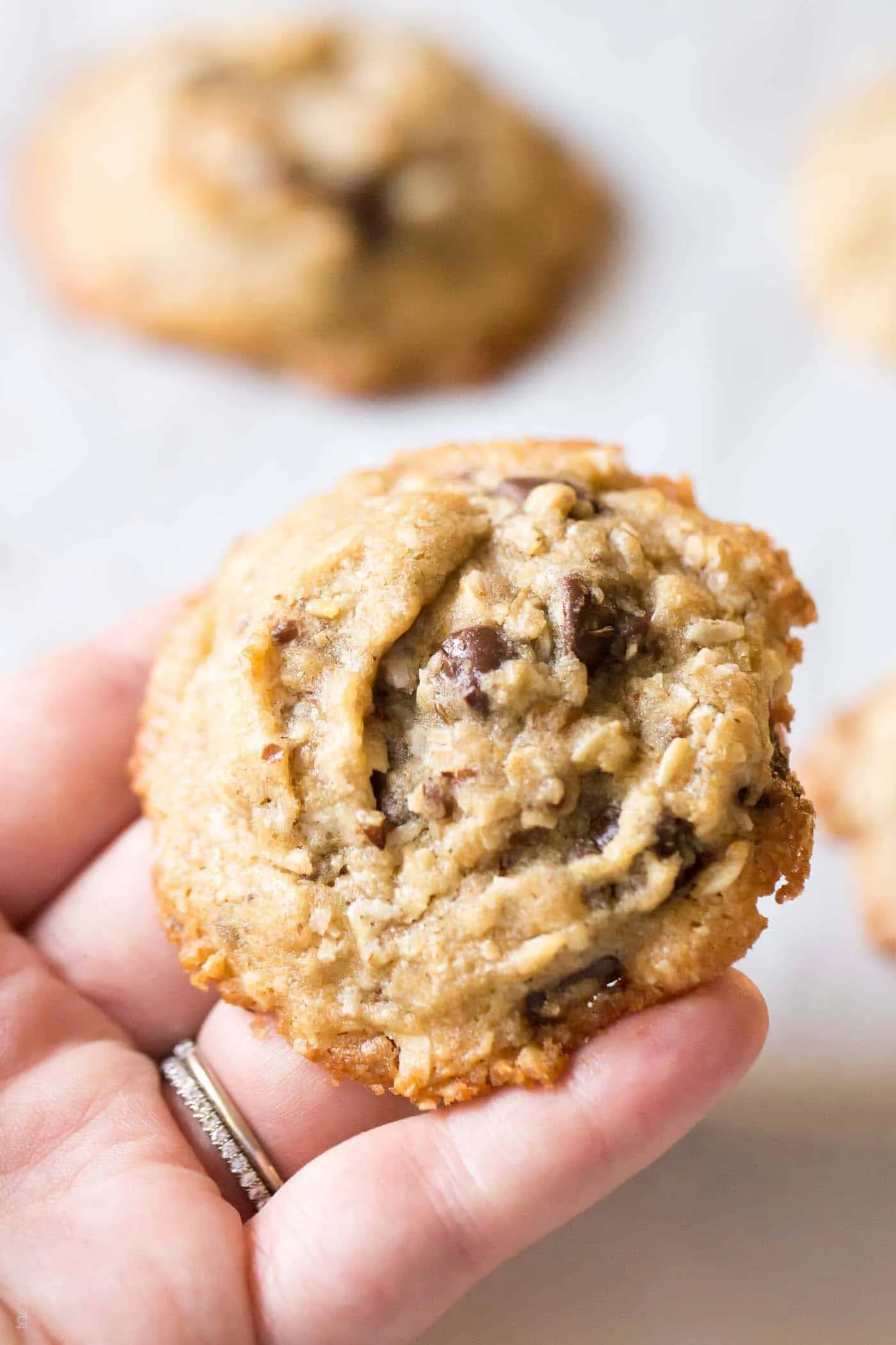 Dairy Free Lactation Cookies