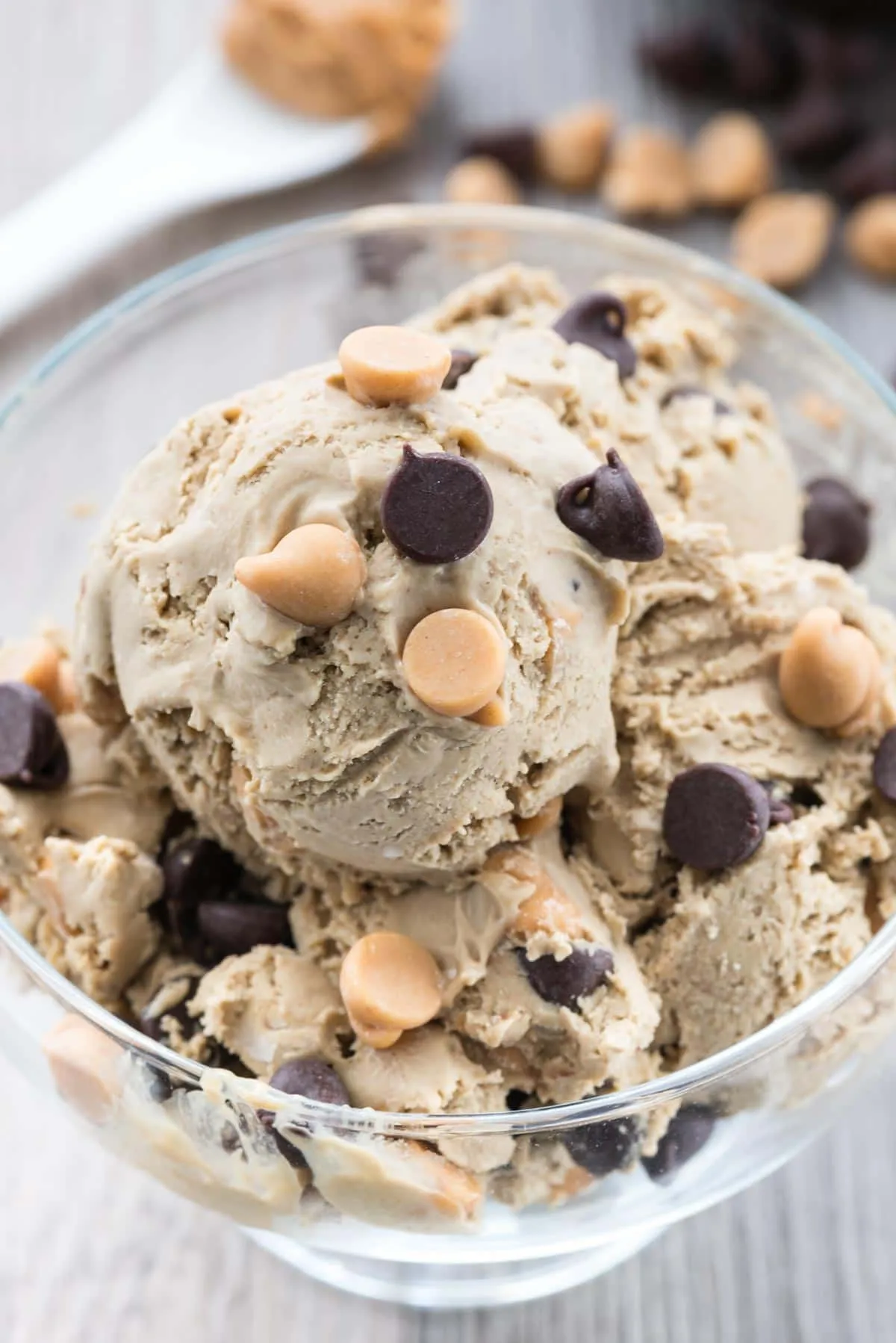 Dark Chocolate Peanut Butter Ice Cream