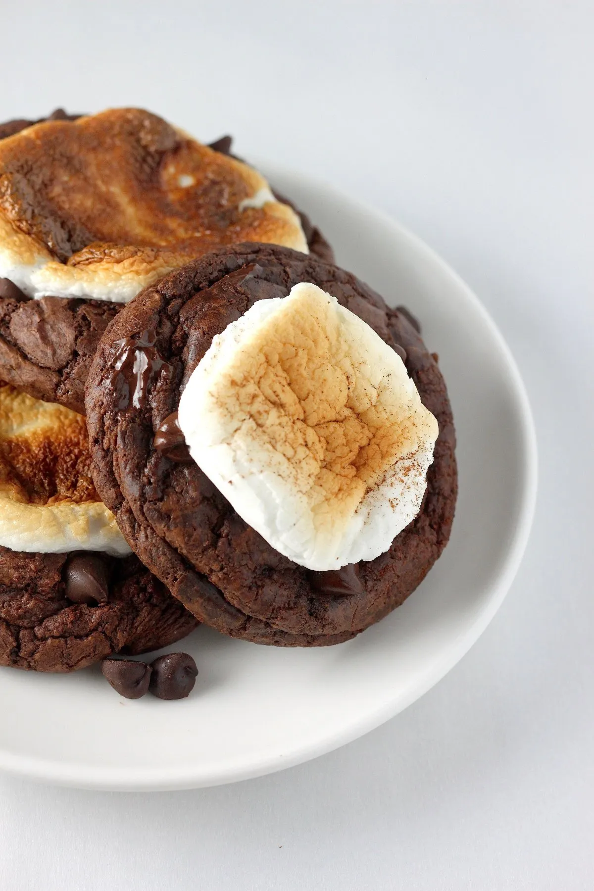 Double Chocolate Hot Cocoa Cookies