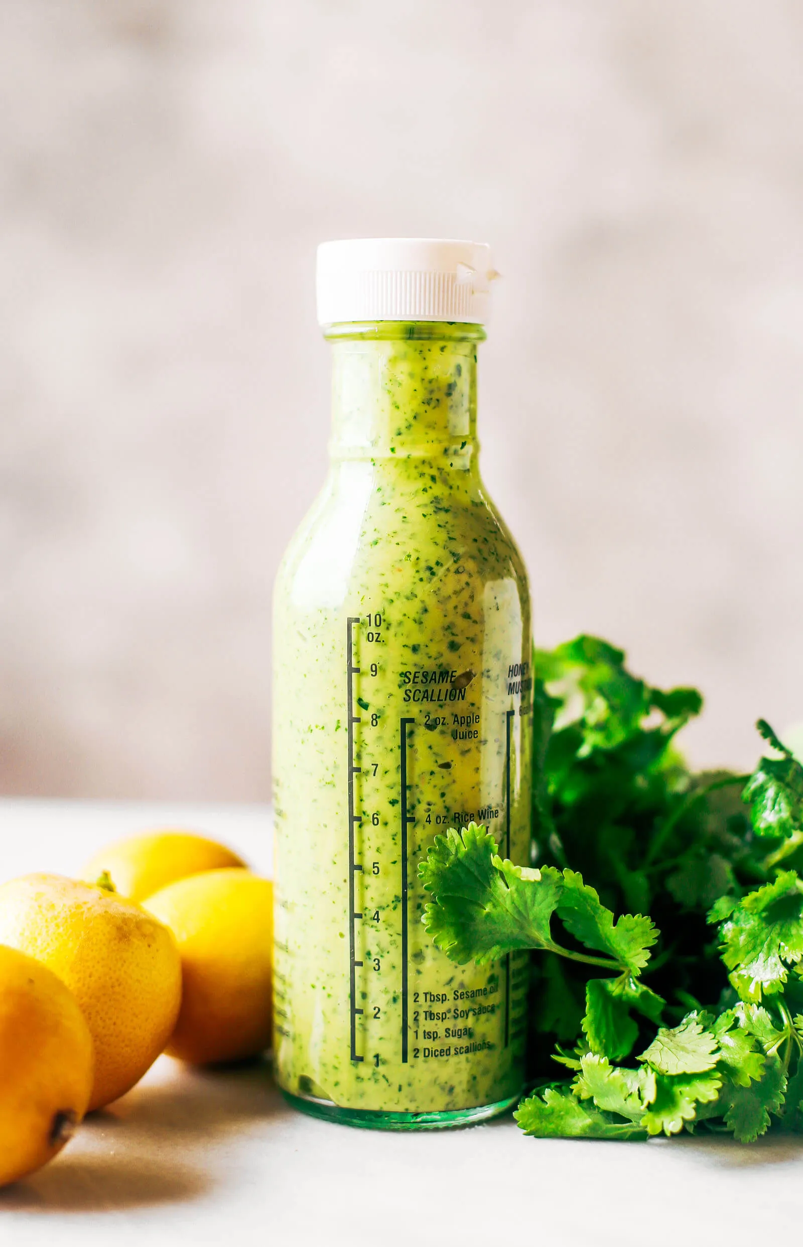Dreamy Creamy Avocado Cilantro Sauce