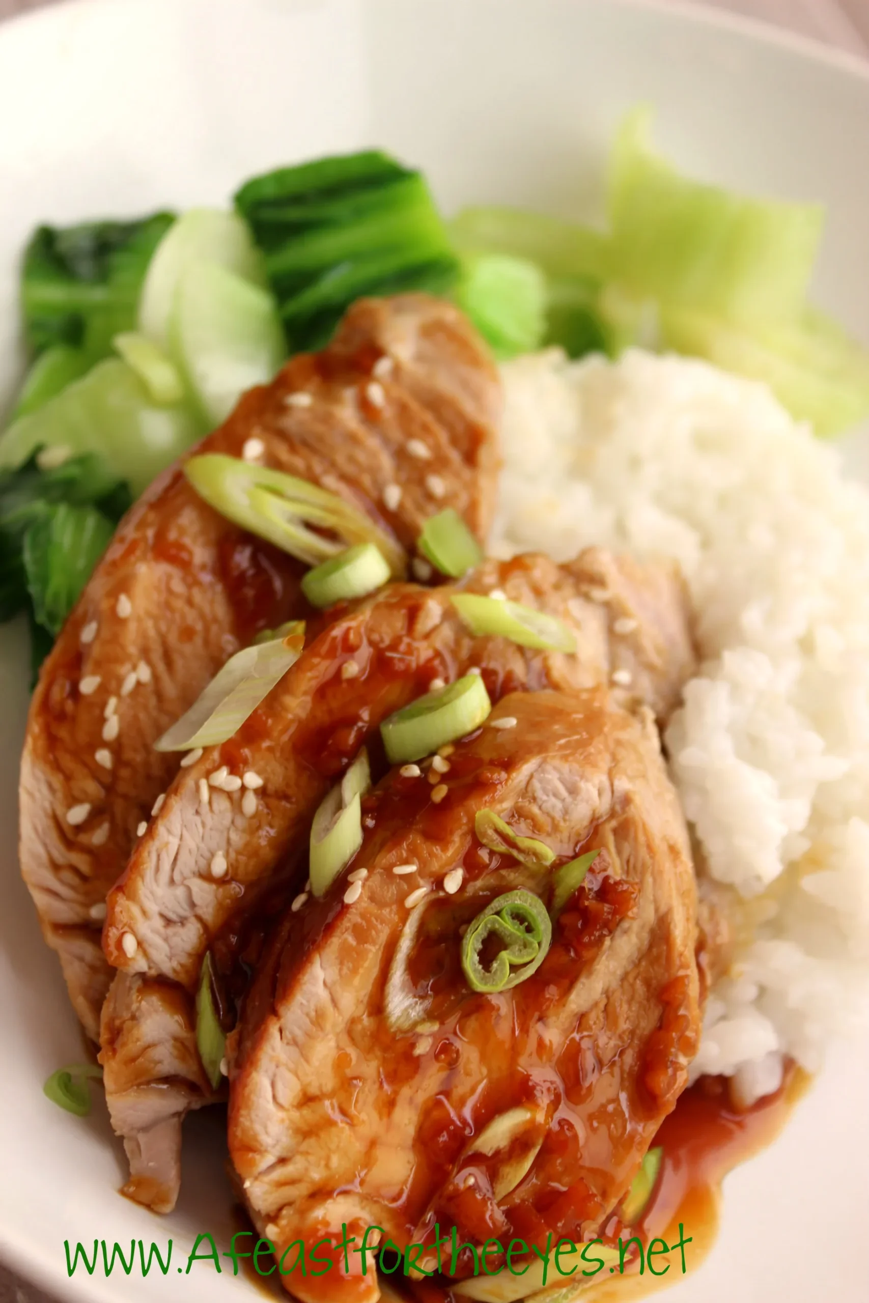 Easy Asian Pork Tenderloin