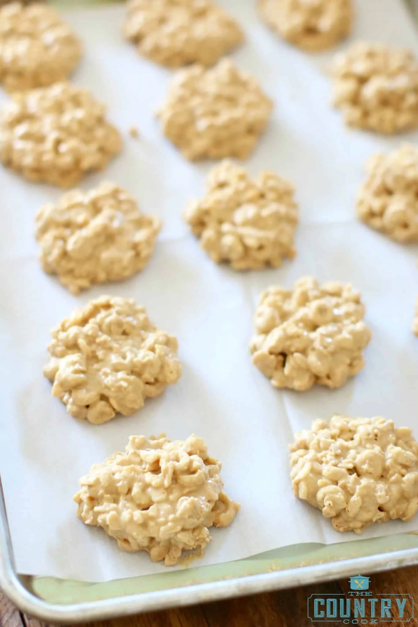Easy No Bake Avalanche Cookies