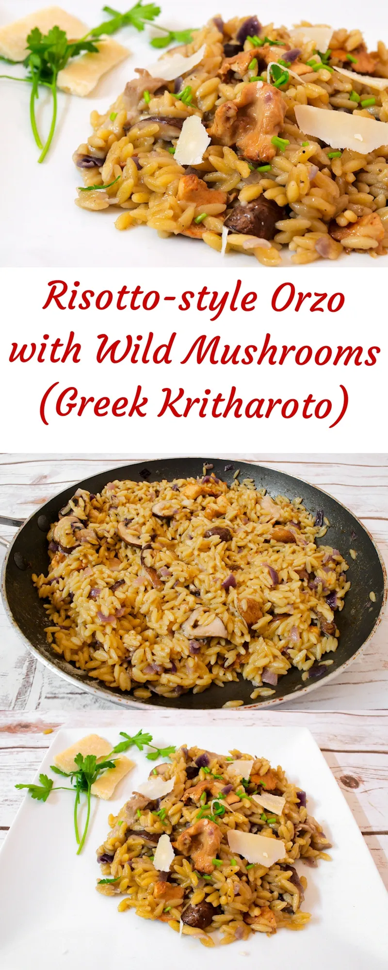 Easy Orzo Risotto Style Kritharotto