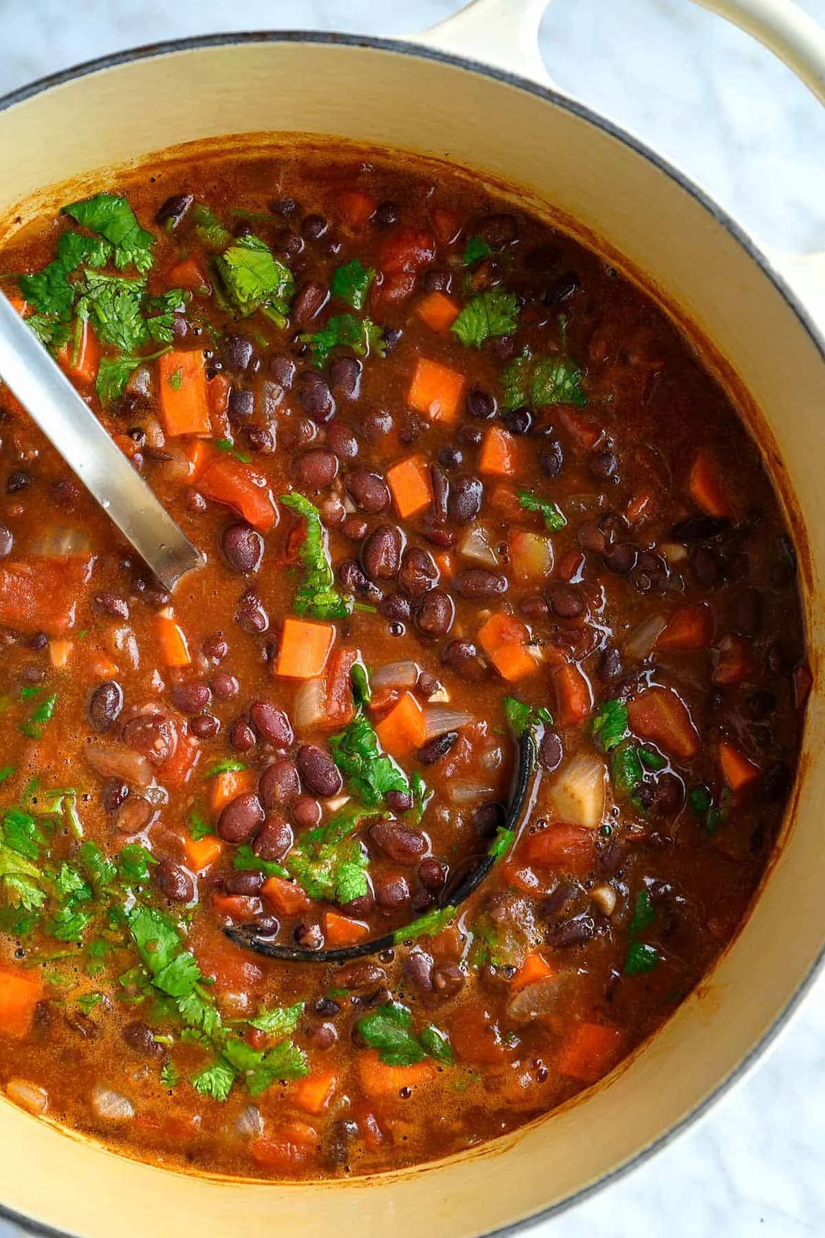 Fast Black Bean Soup