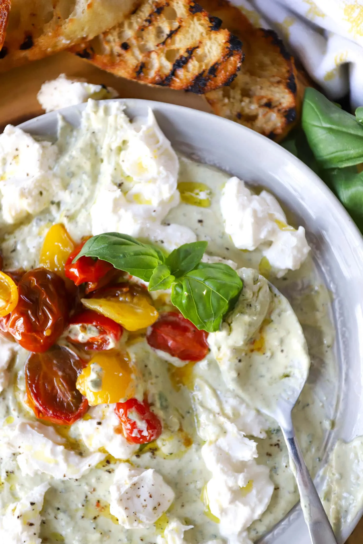 Fresh Tomato Burrata Cheese Pesto Dip