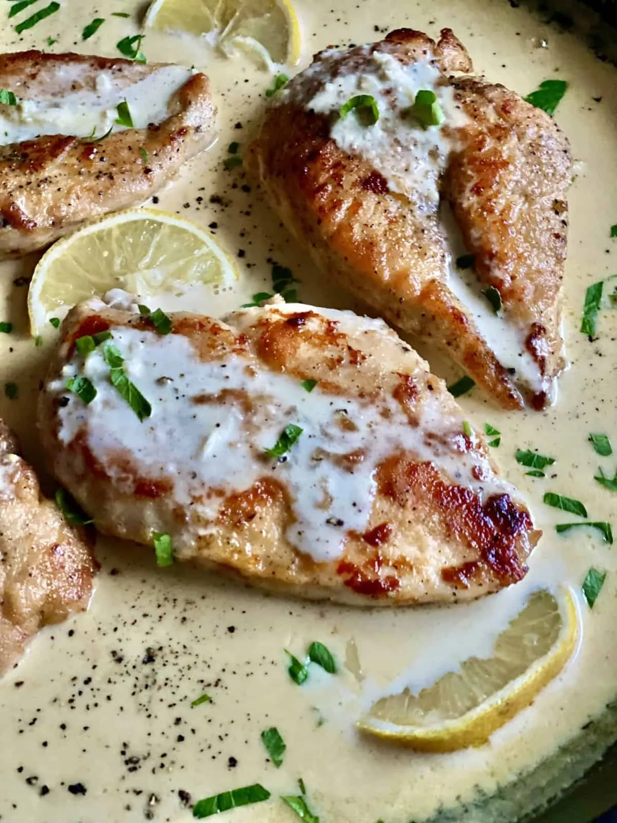 Fried Chicken Breast with Creamy Lemon Sauce Dip