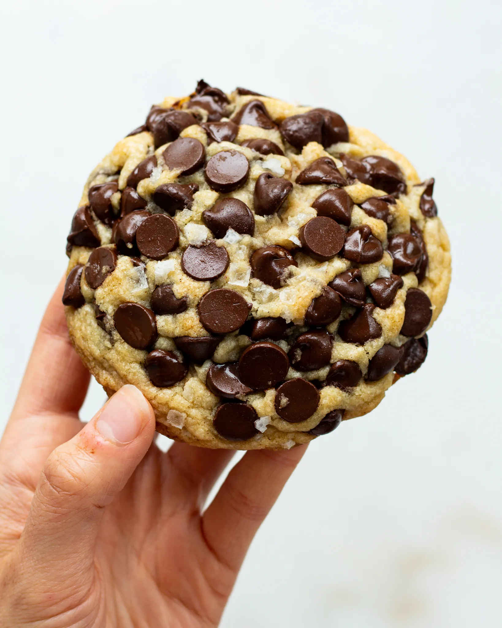 Gideon's Bakehouse Chocolate Chip Cookies