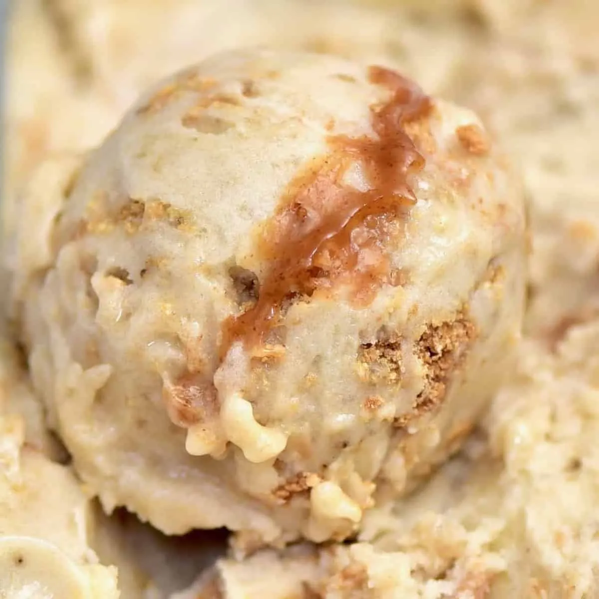 Gingerbread Salted Caramel Ice Cream