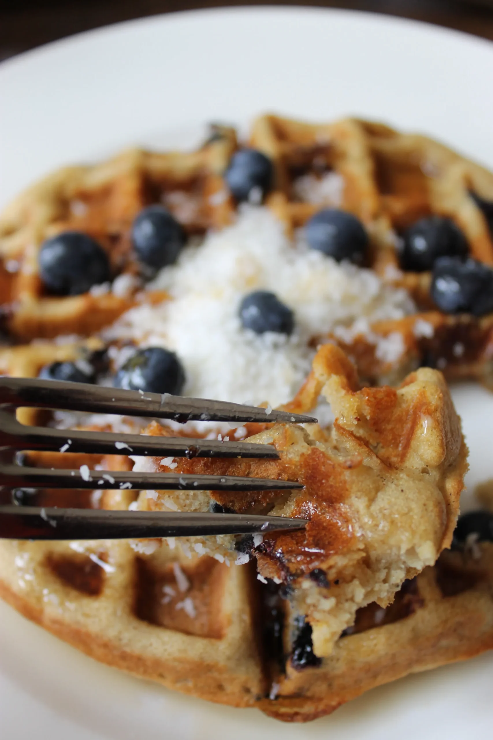 Gluten Free Blueberry Waffles