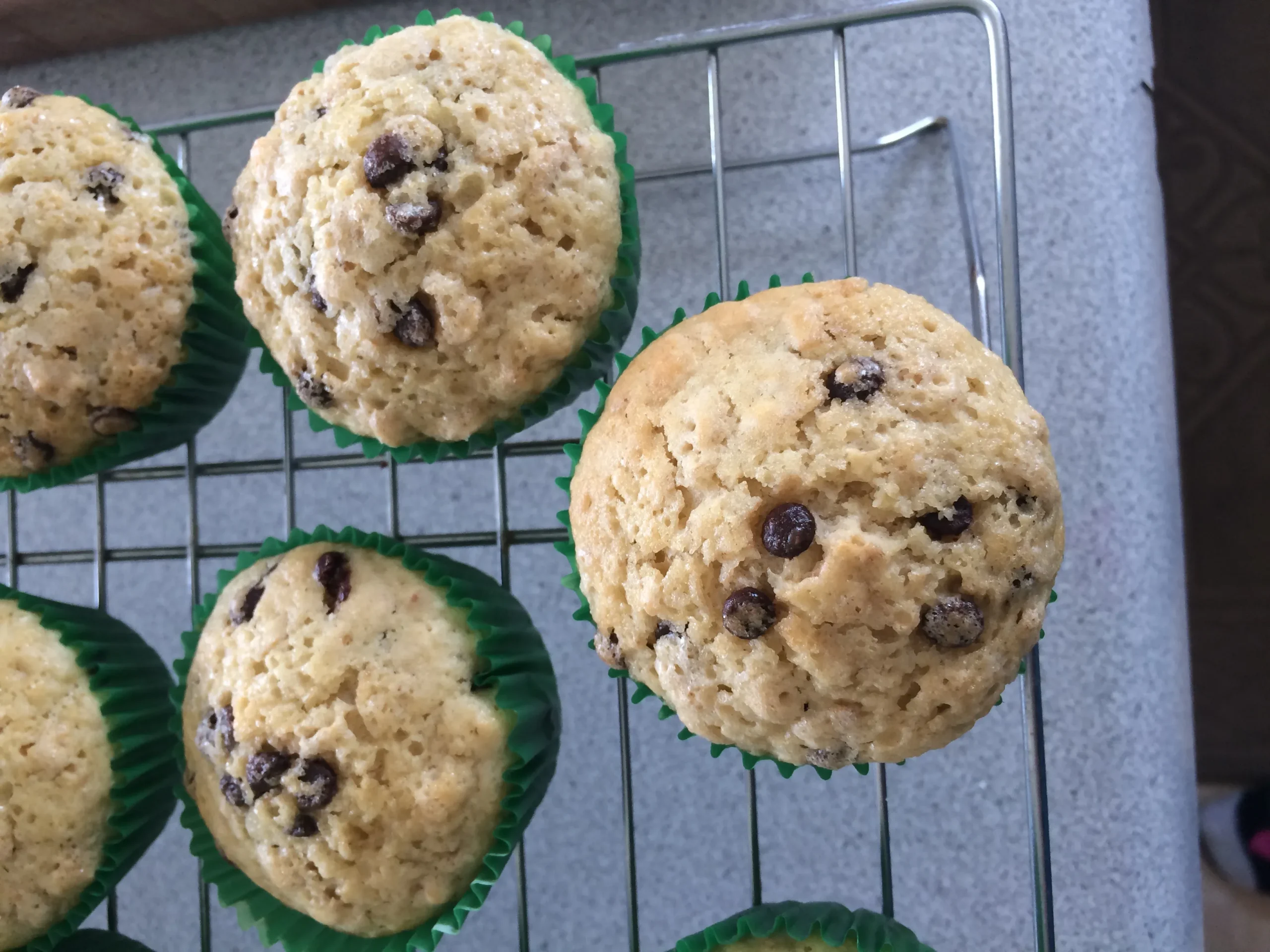 Gluten Free Coconut Milk Oatmeal Chocolate Chip Muffins
