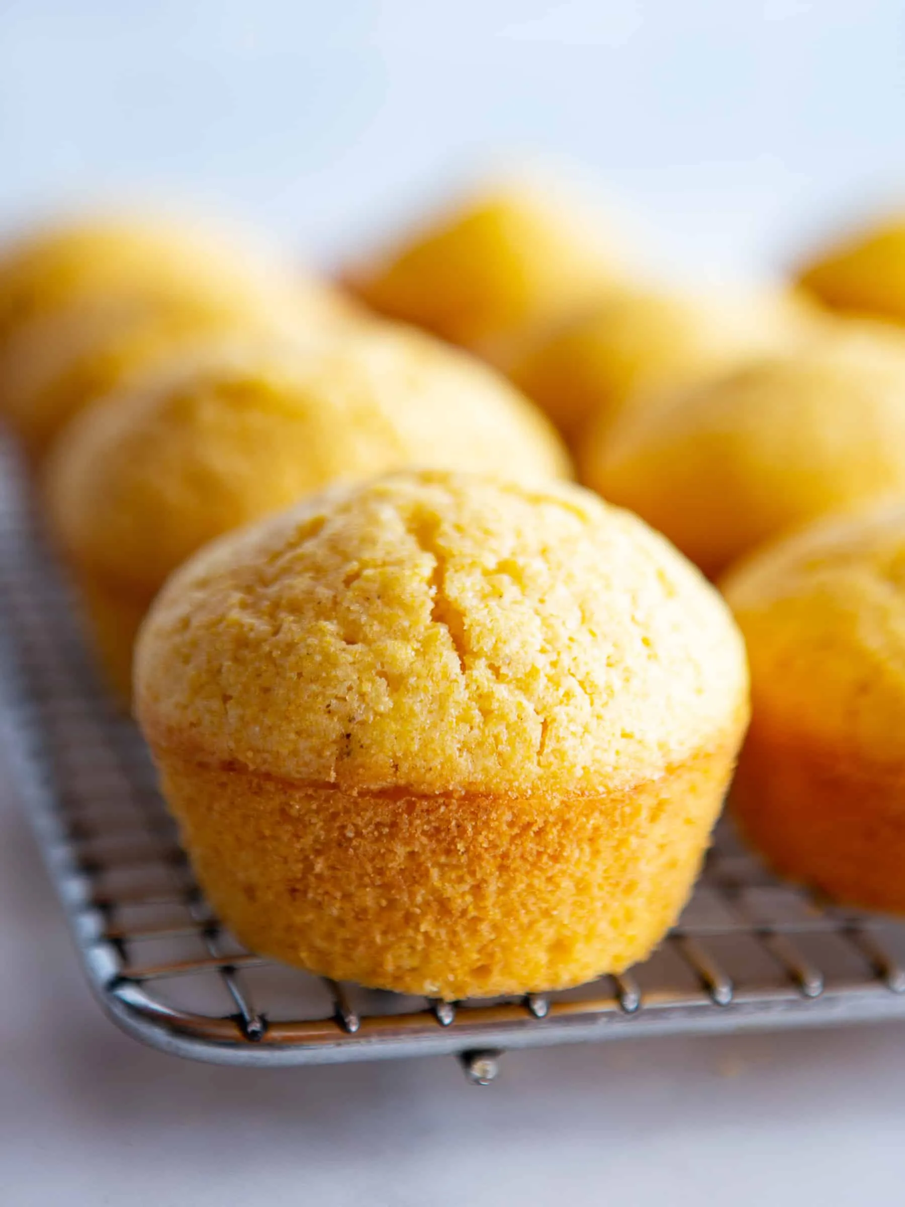 Gluten Free Corn Muffins