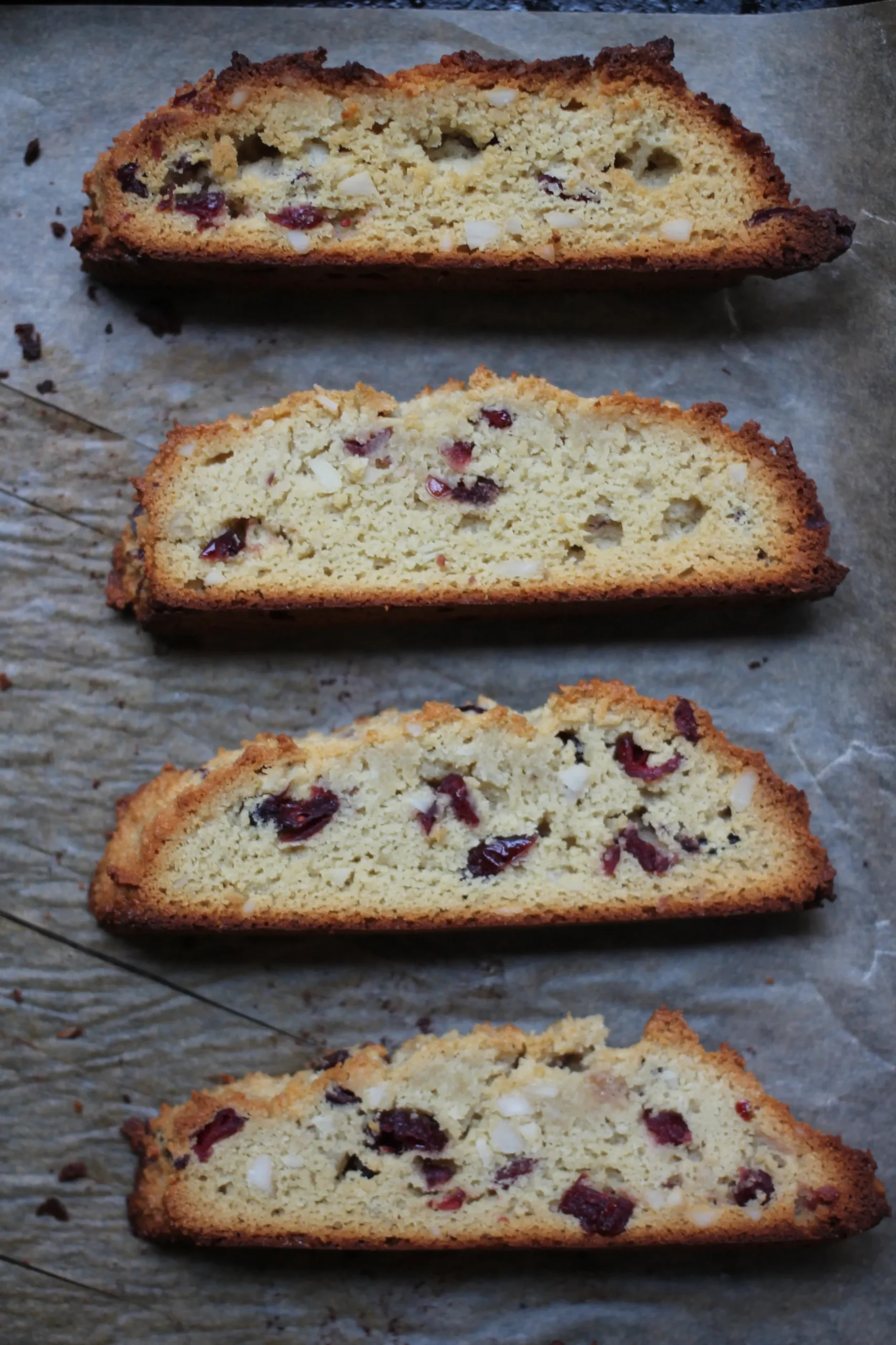 Grain Free Dark Chocolate Dipped Almond Cranberry Biscotti with Sea Salt