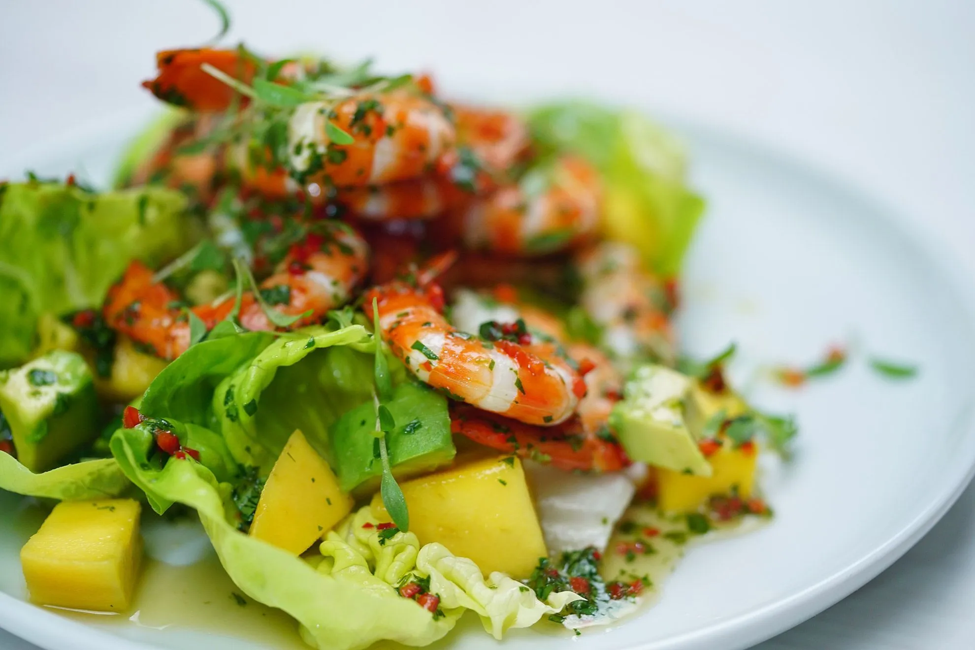 Grilled Prawn Salad with Avocado Aioli