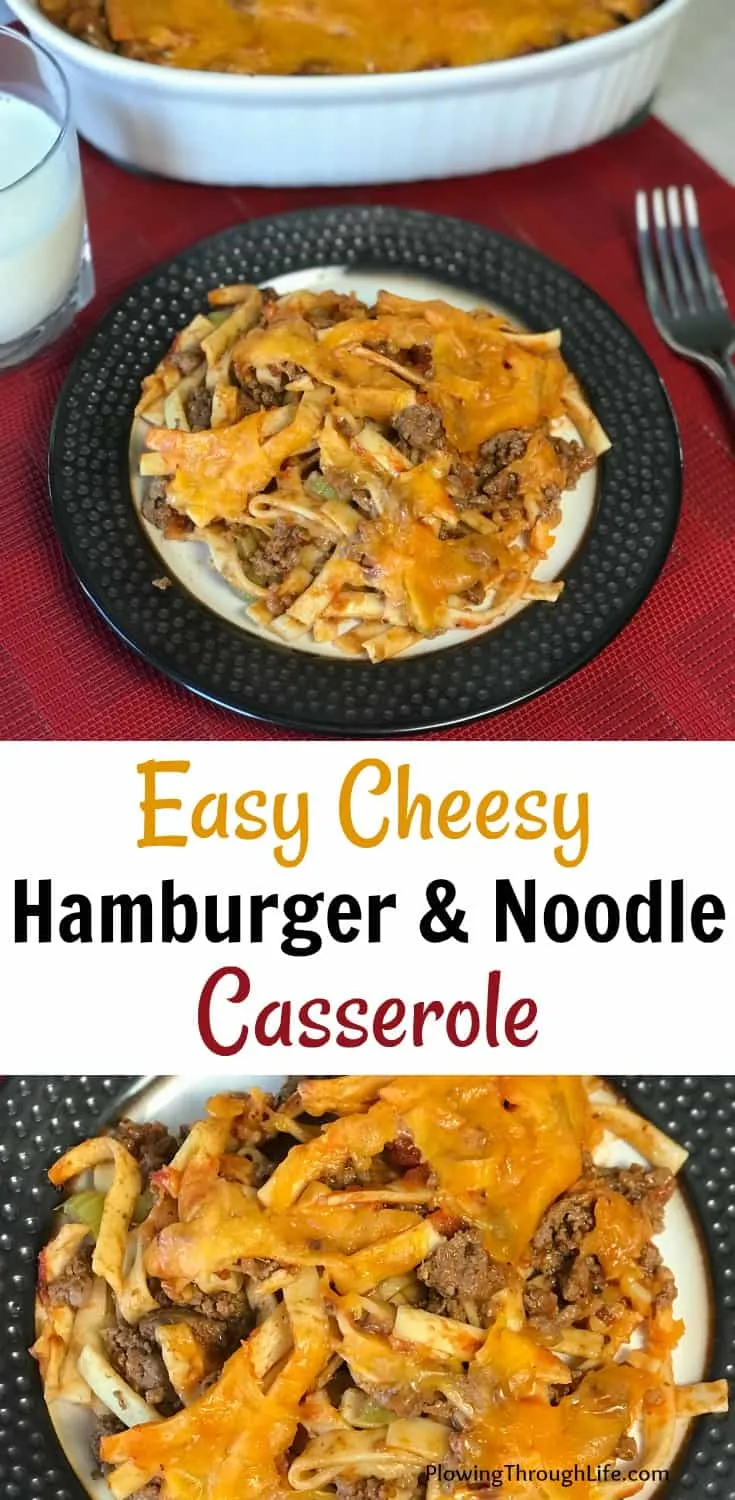 Hamburger Noodle Casserole Farmhouse