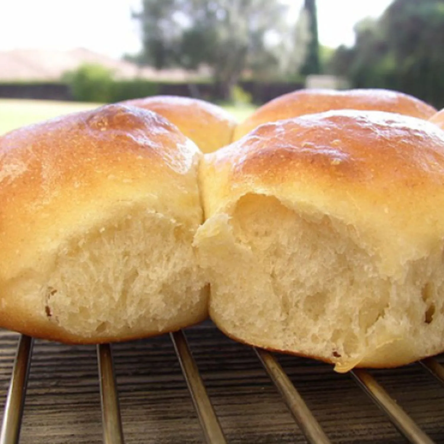 Hawaiian Portuguese Sweet Bread